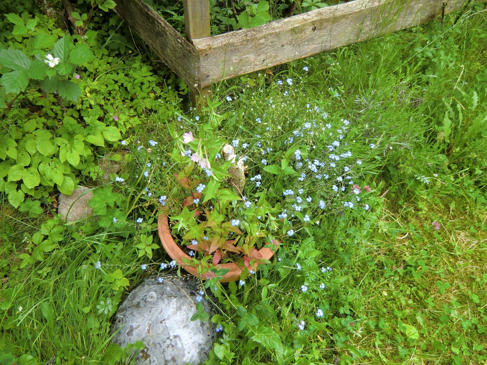 CASIO EX-H15 sample photo. Pot, light blue, flowers photography