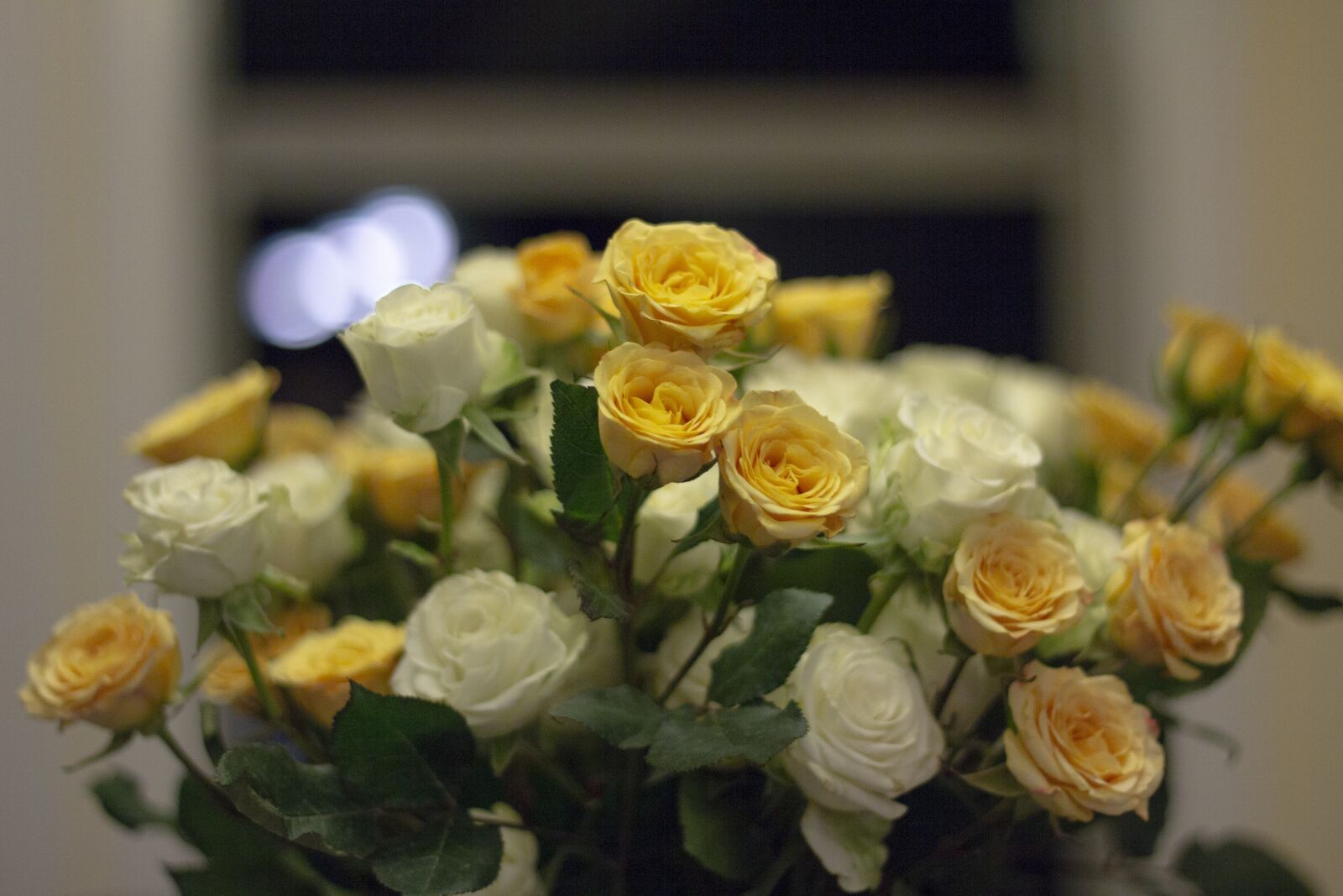 Canon EOS 60D + Canon EF 50mm F1.8 II sample photo. Flowers, ornament, bloom photography