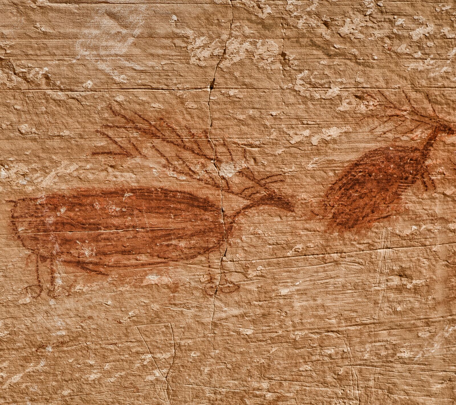 Nikon D7000 sample photo. Anasazi, native art, rock photography