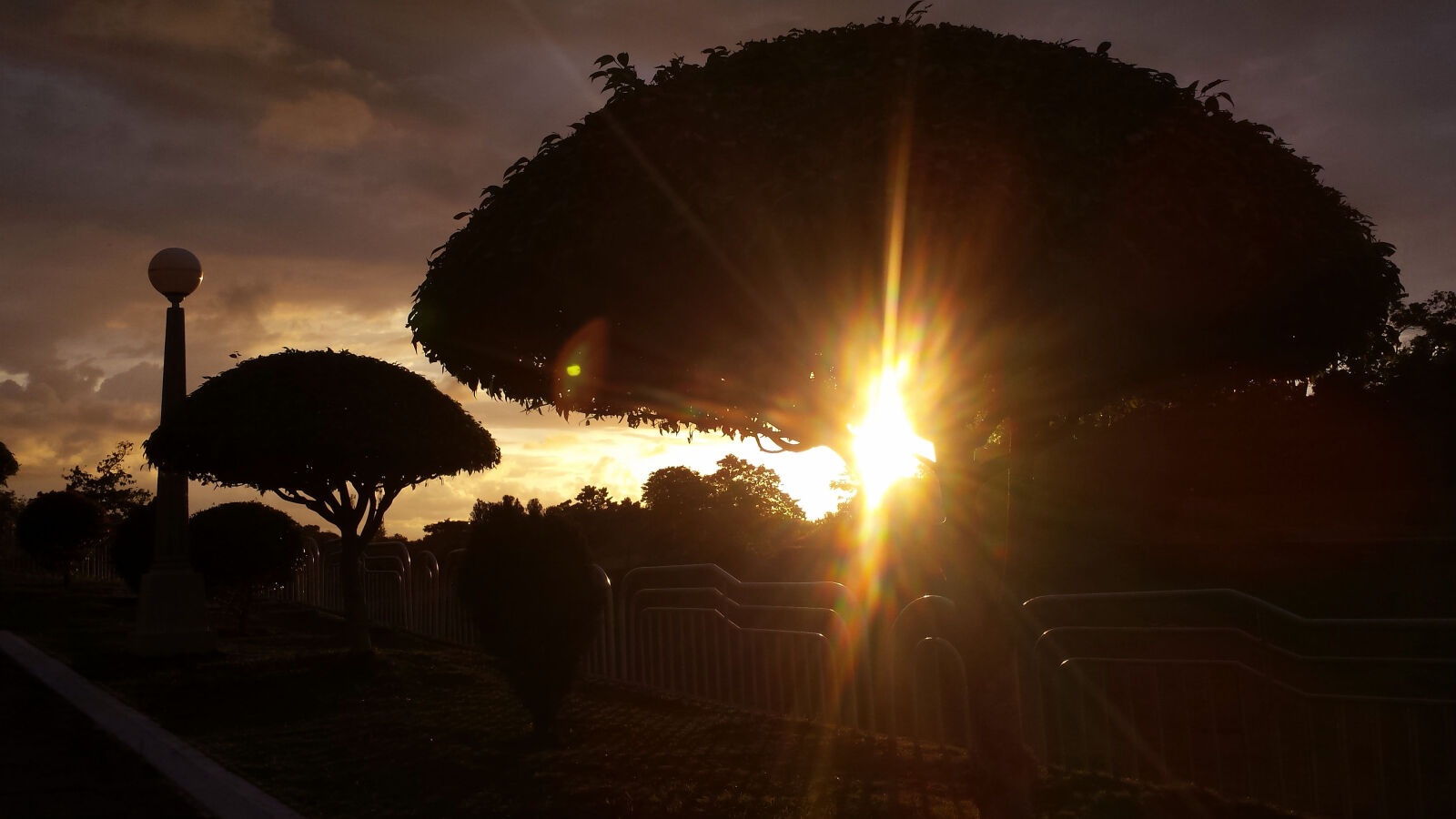 Samsung Galaxy S4 sample photo