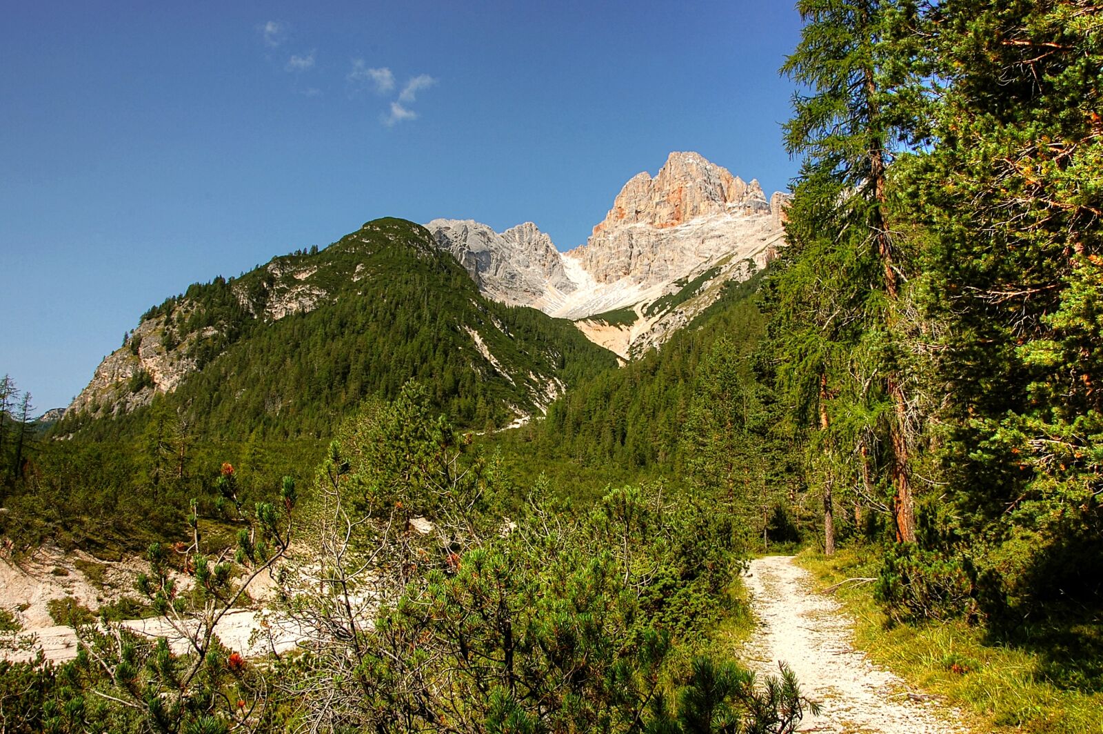 Nikon D40 sample photo. Croda rossa, dolomites, alm photography