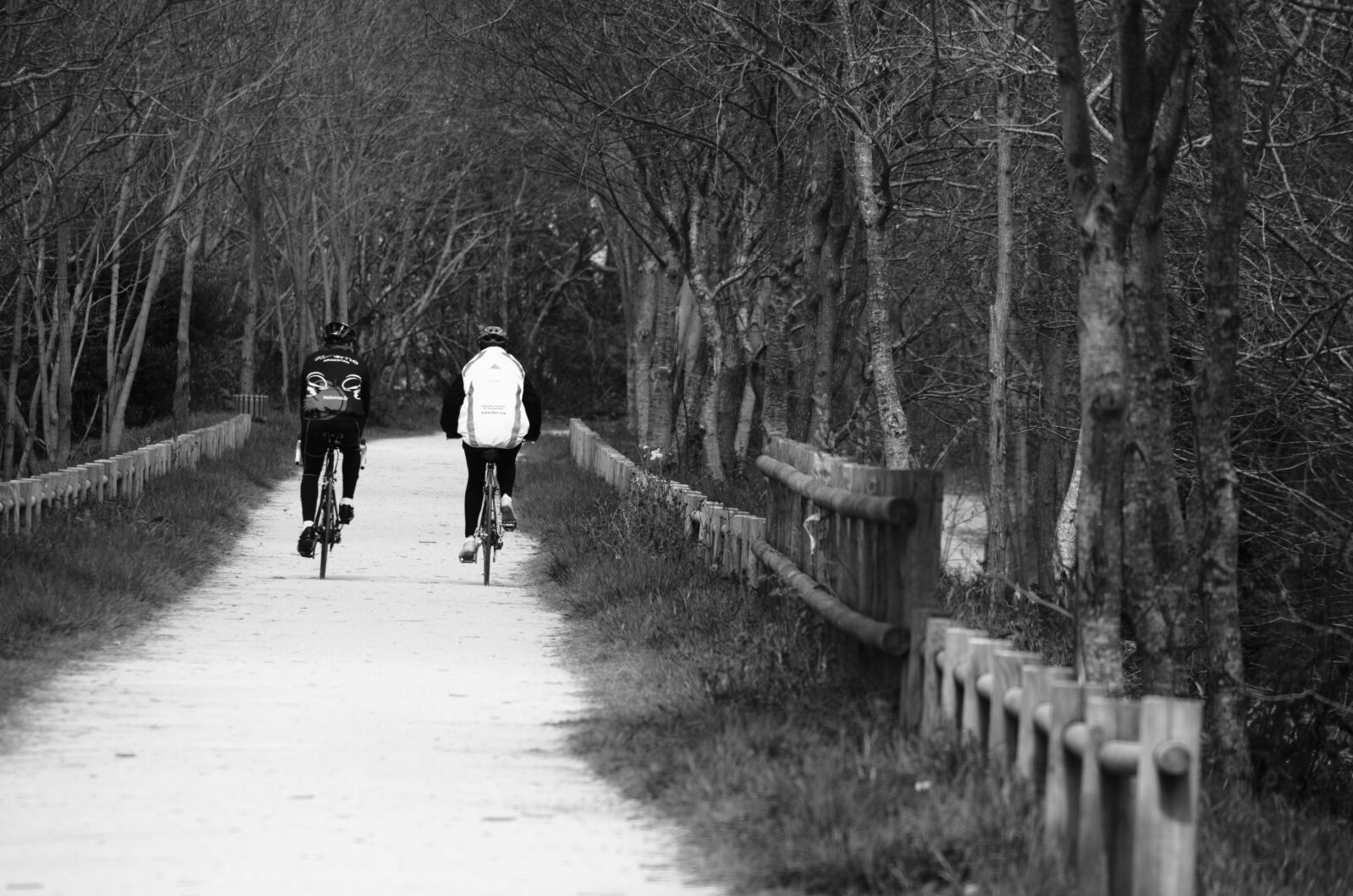 Nikon D5100 sample photo. Cycling, bike, bicycle photography