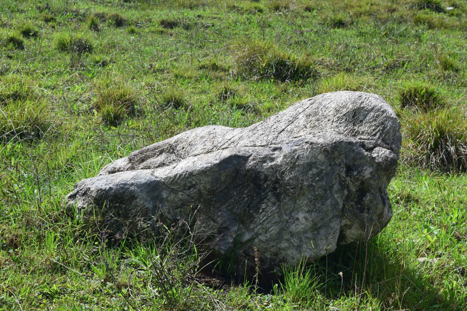 Nikon D3300 sample photo. Piedra, paisaje, verde photography
