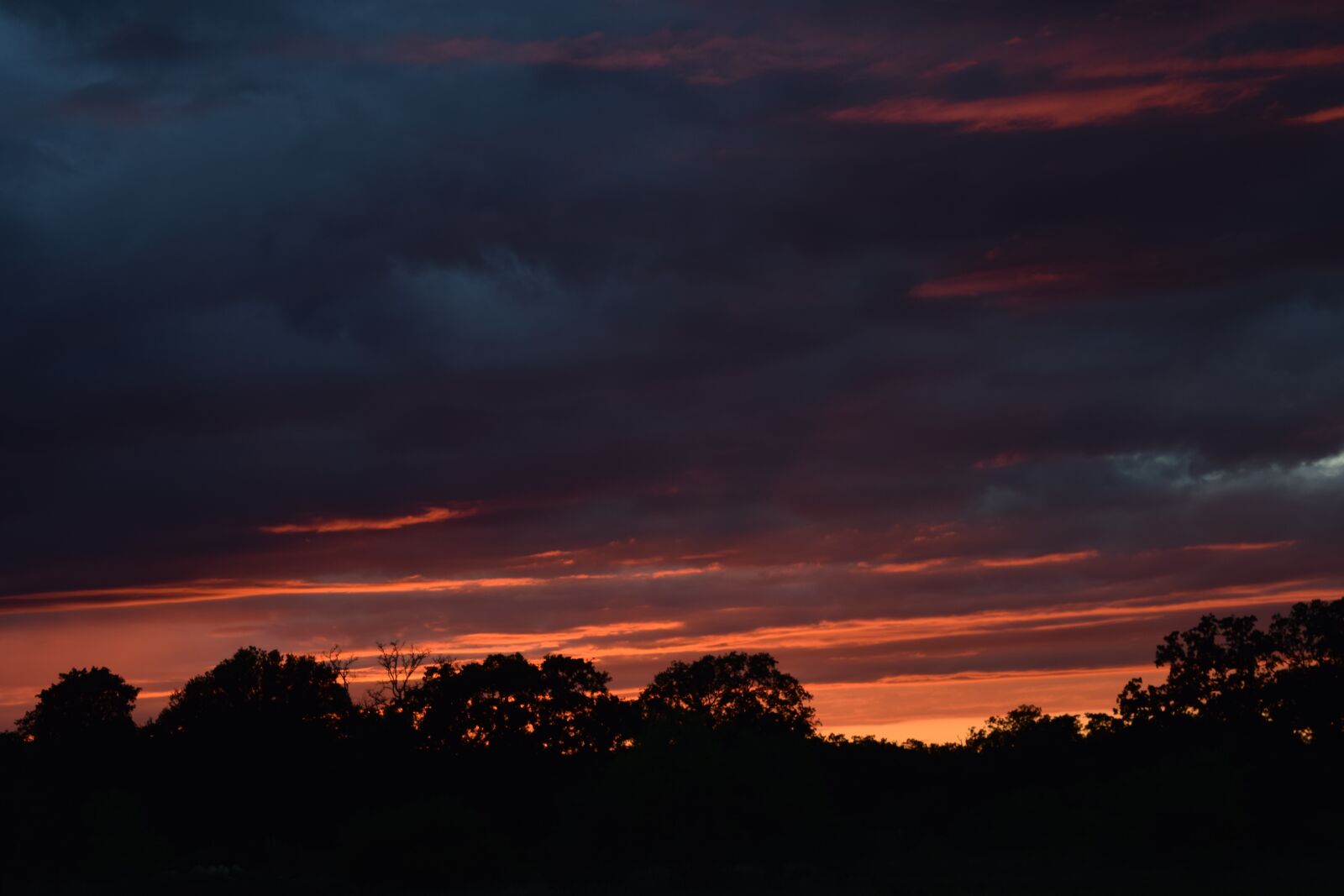 Nikon D3300 sample photo. Sunset, outdoor, nature photography