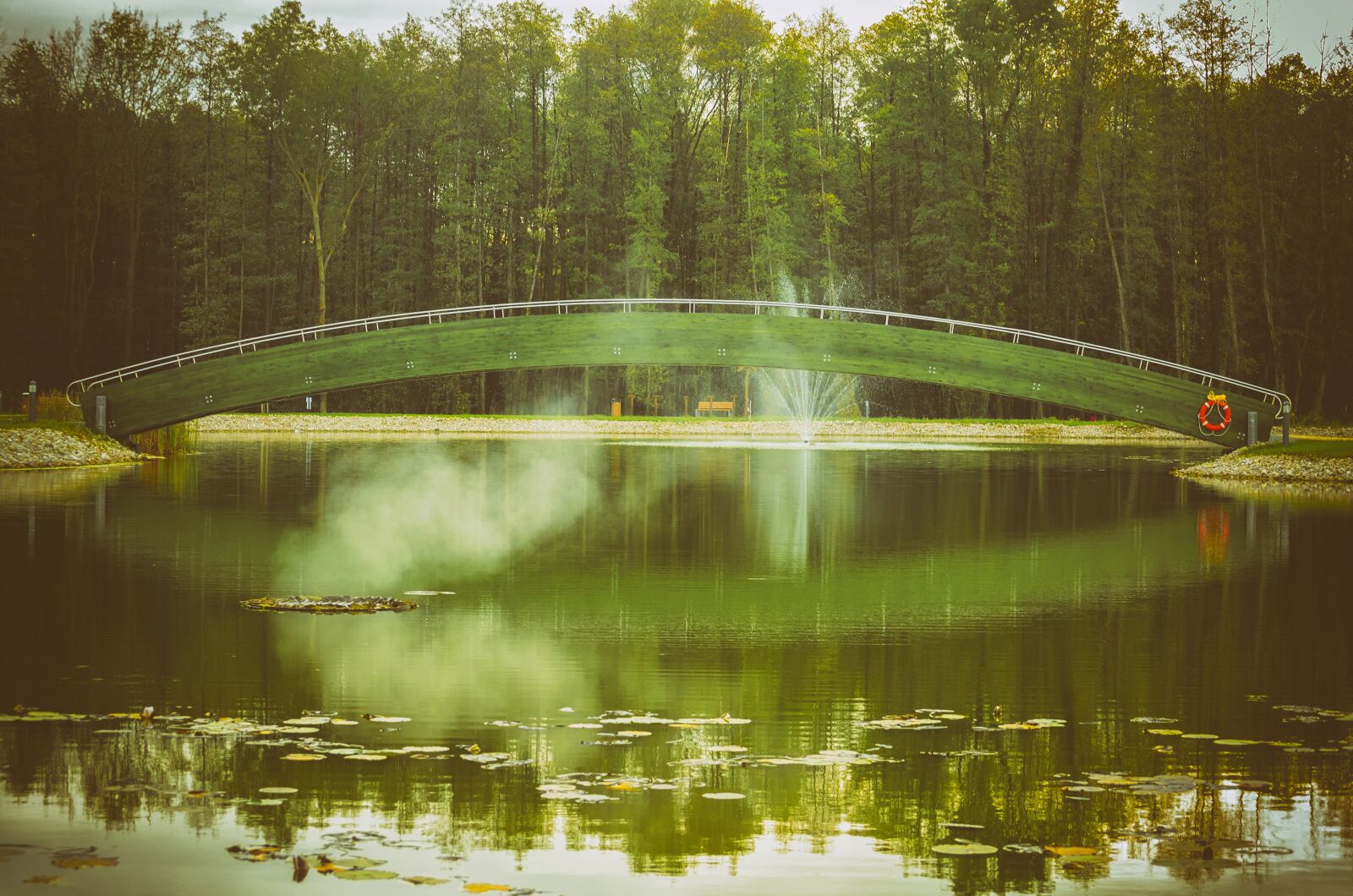 Nikon D5100 sample photo. Lake, bridge, nature photography