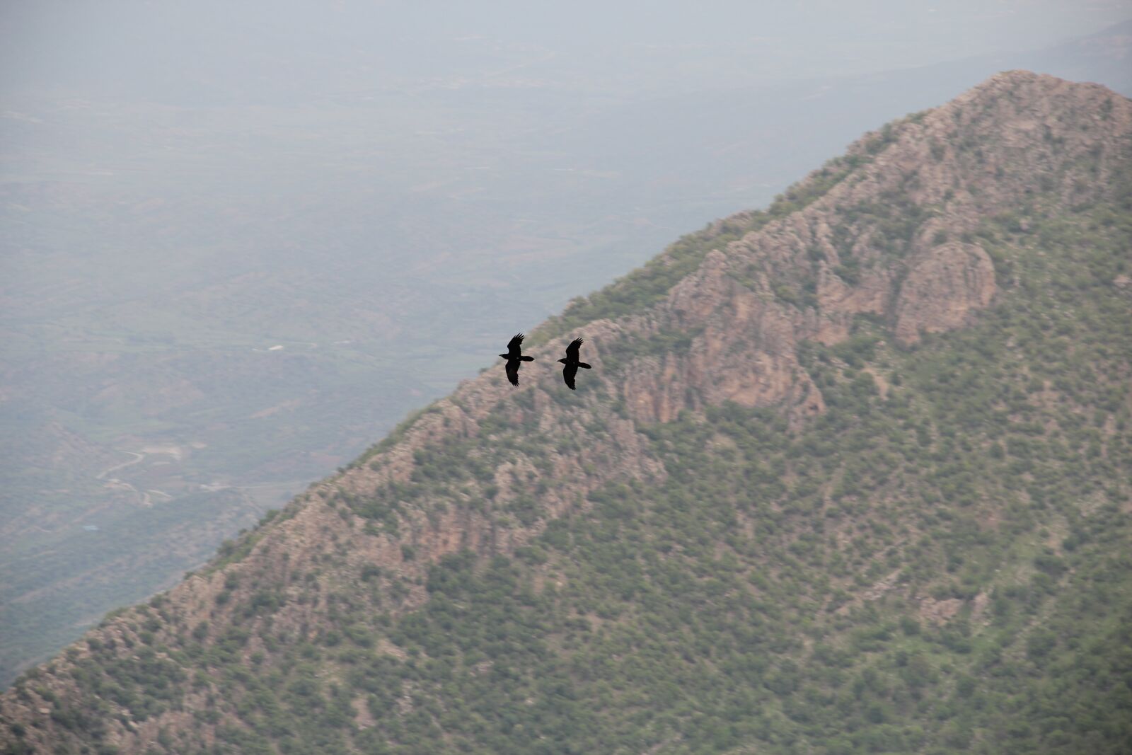 Canon EOS 550D (EOS Rebel T2i / EOS Kiss X4) sample photo. Nature, sky, landscape photography
