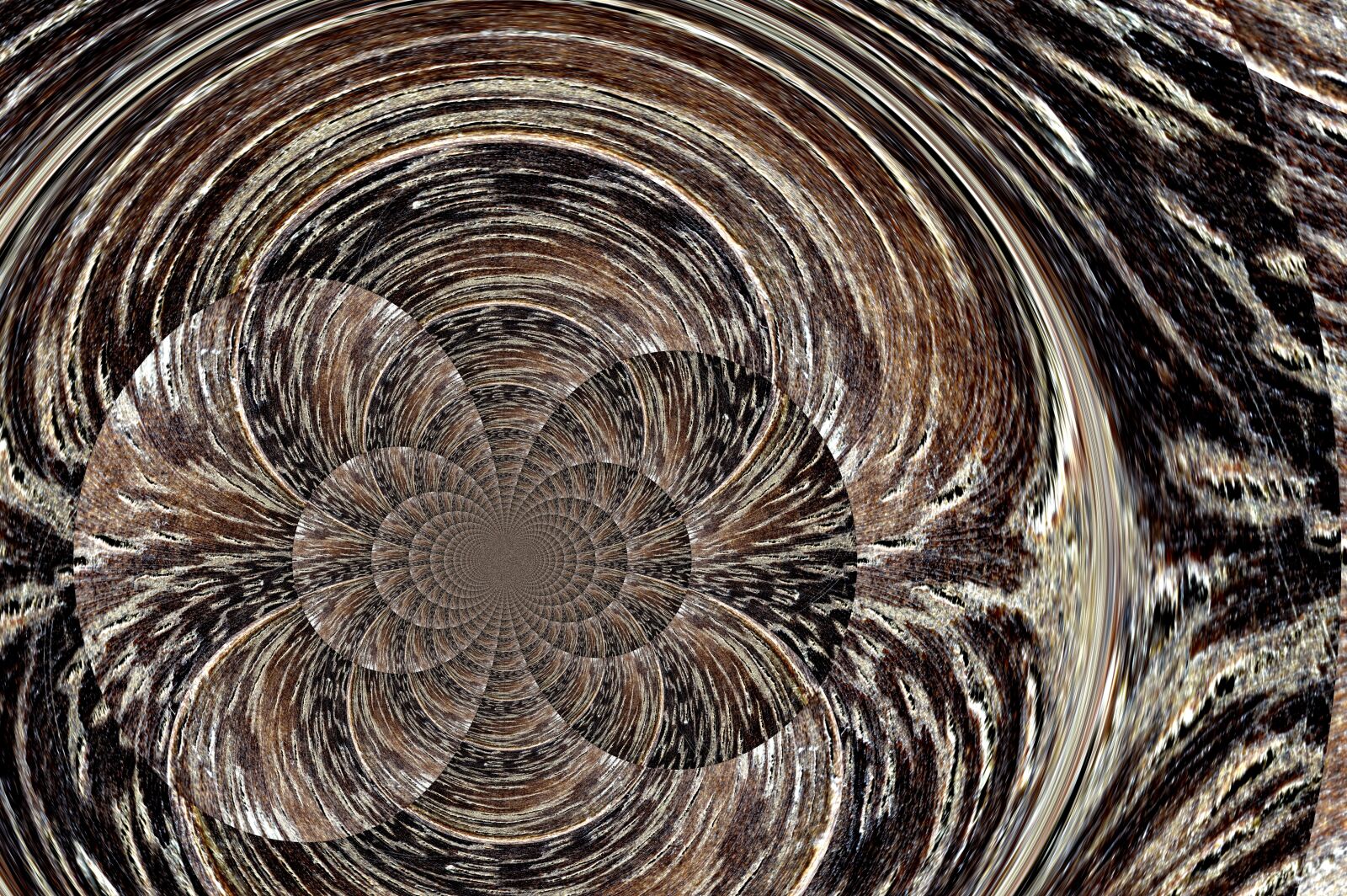 Nikon D3200 sample photo. Wood, art, engraving photography