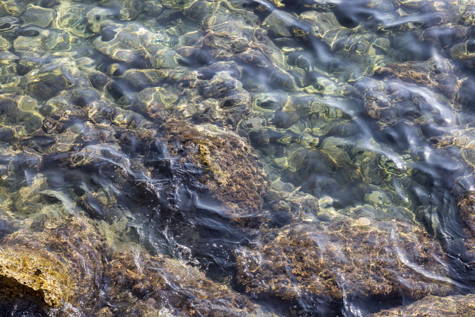 Canon RF 85mm F1.2L USM sample photo. Kennedy, marine, reef photography