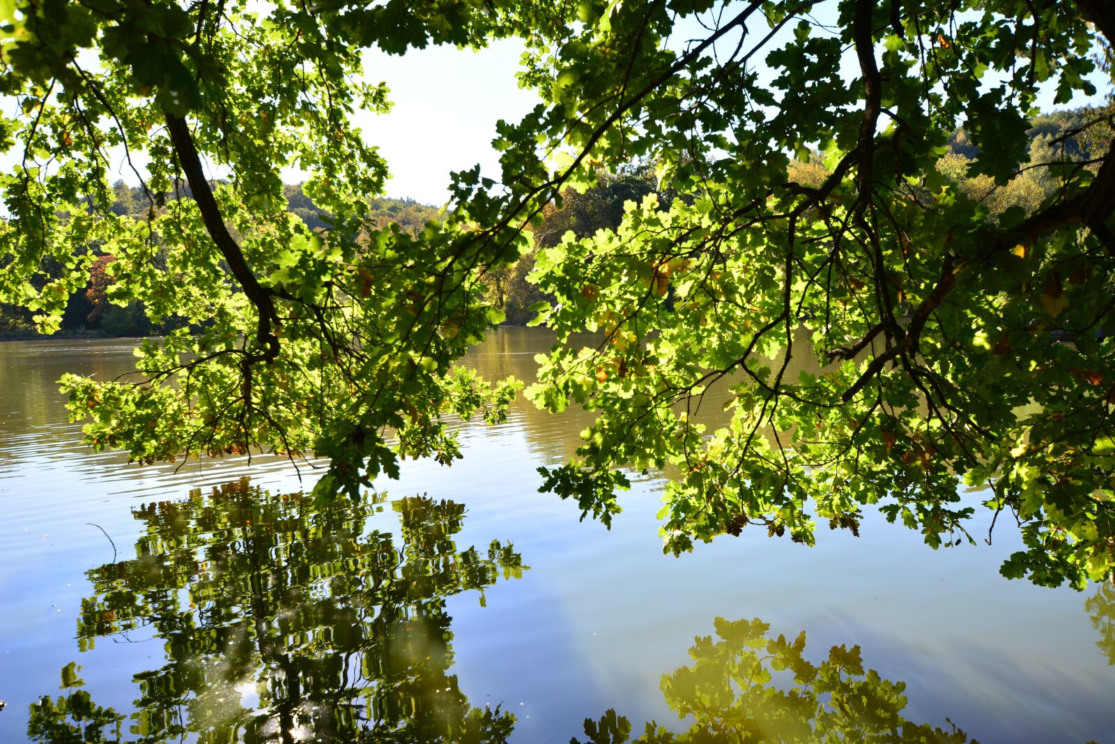 Nikon D5200 sample photo. Park, greiz, thuringia germany photography