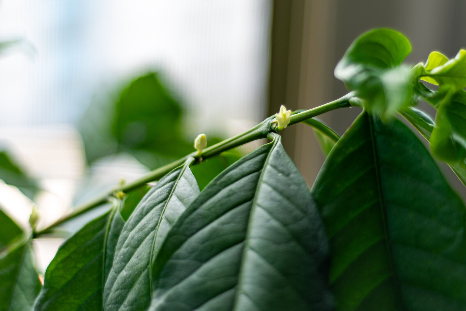 Nikon D810 sample photo