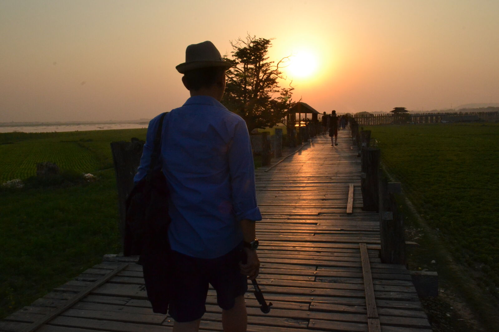 Nikon D3100 sample photo