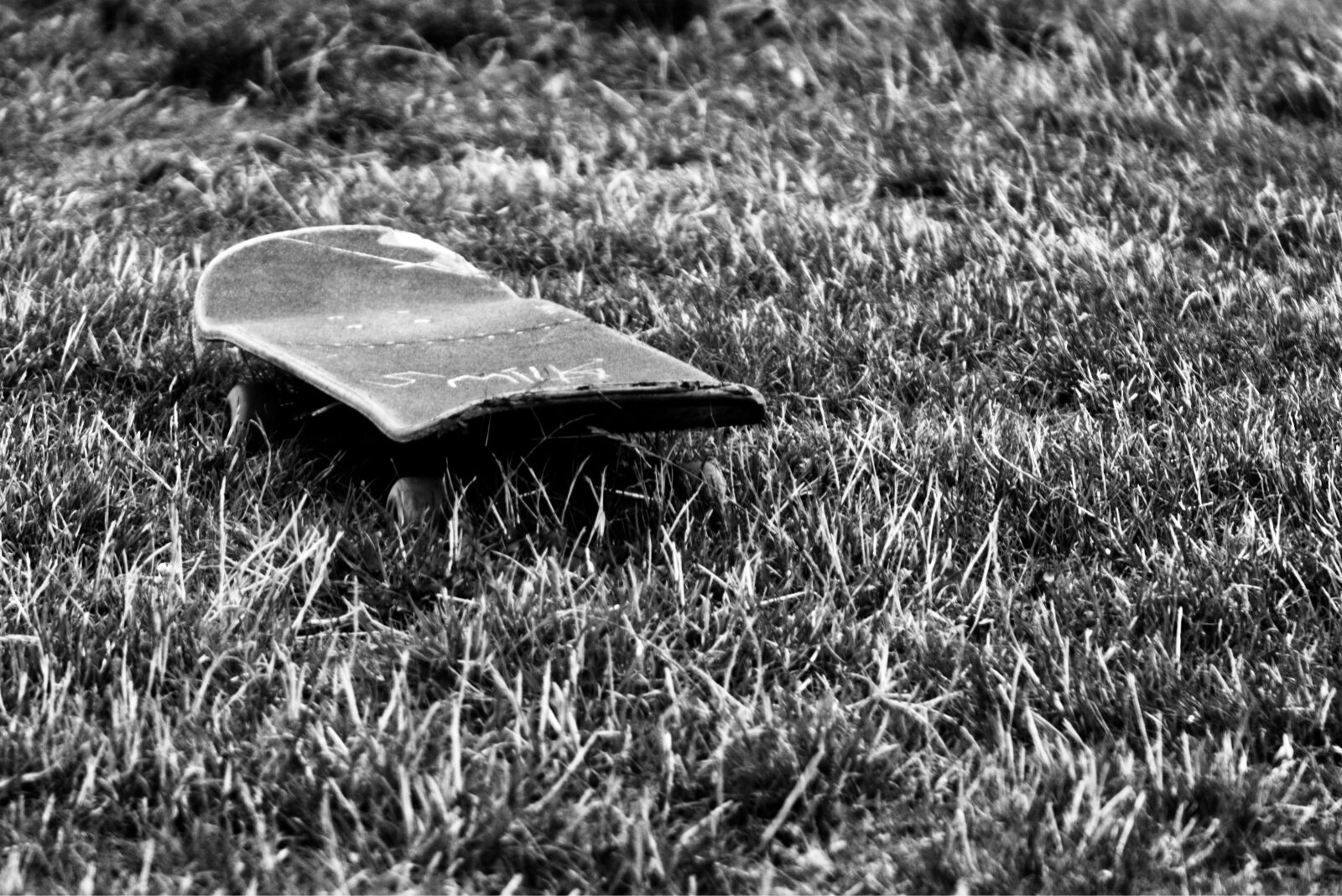 Nikon D7200 sample photo. Skateboard, grass, active photography