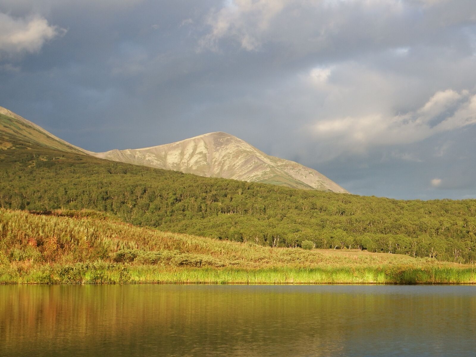Fujifilm FinePix S1 sample photo. Lake, mountains, forest photography