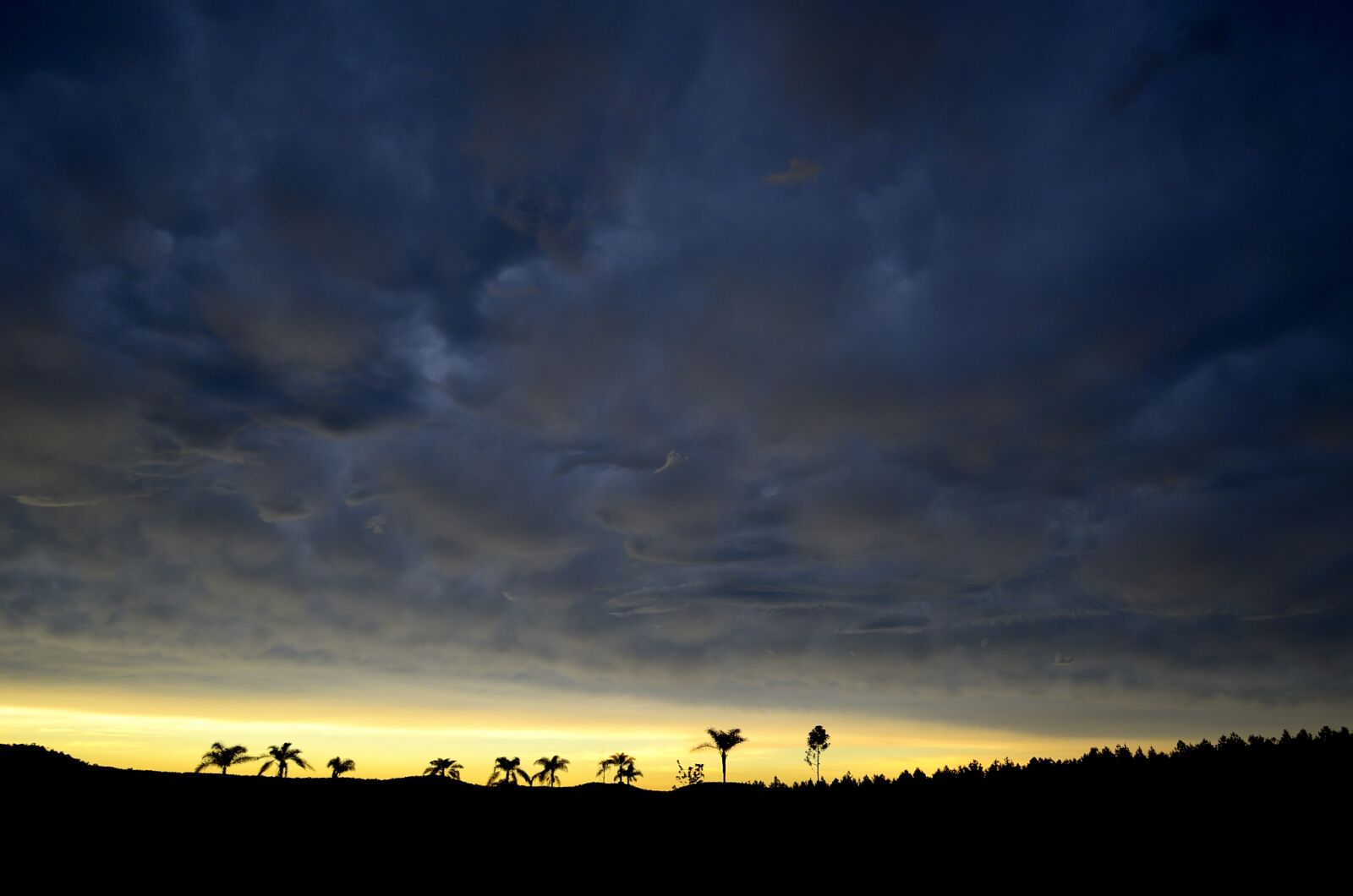 Nikon D5100 sample photo