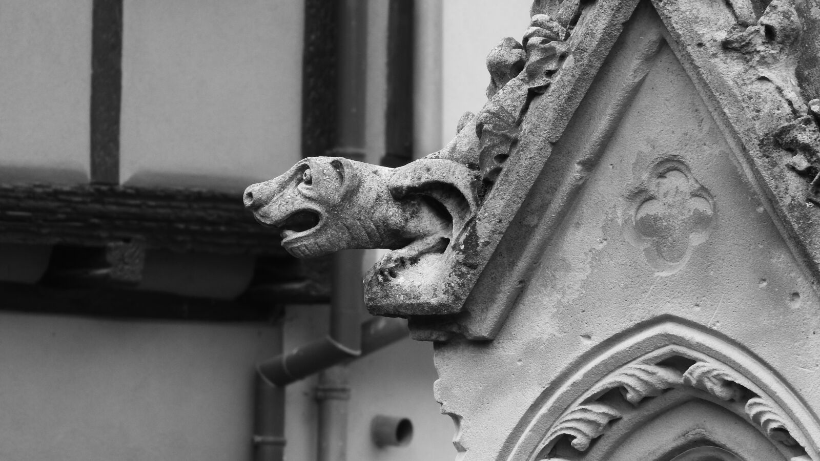 Nikon Coolpix P610 sample photo. Spout, gothic, france photography