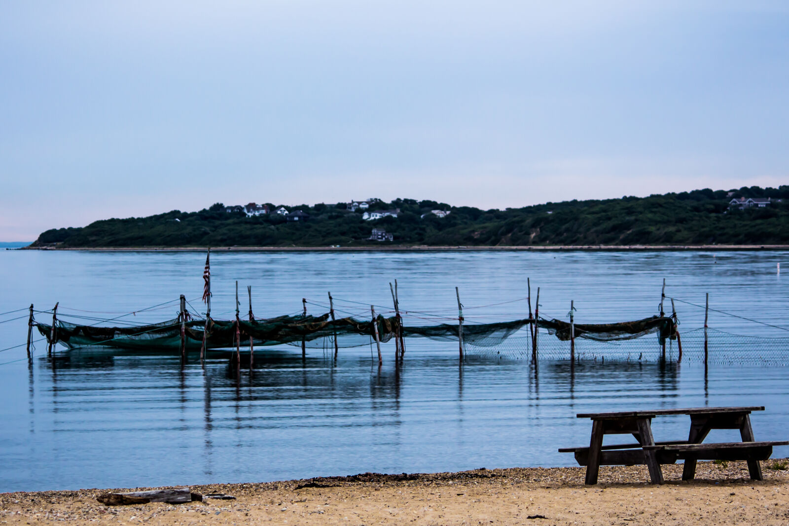 Canon EOS 600D (Rebel EOS T3i / EOS Kiss X5) sample photo. Fish, net, picnic, table photography