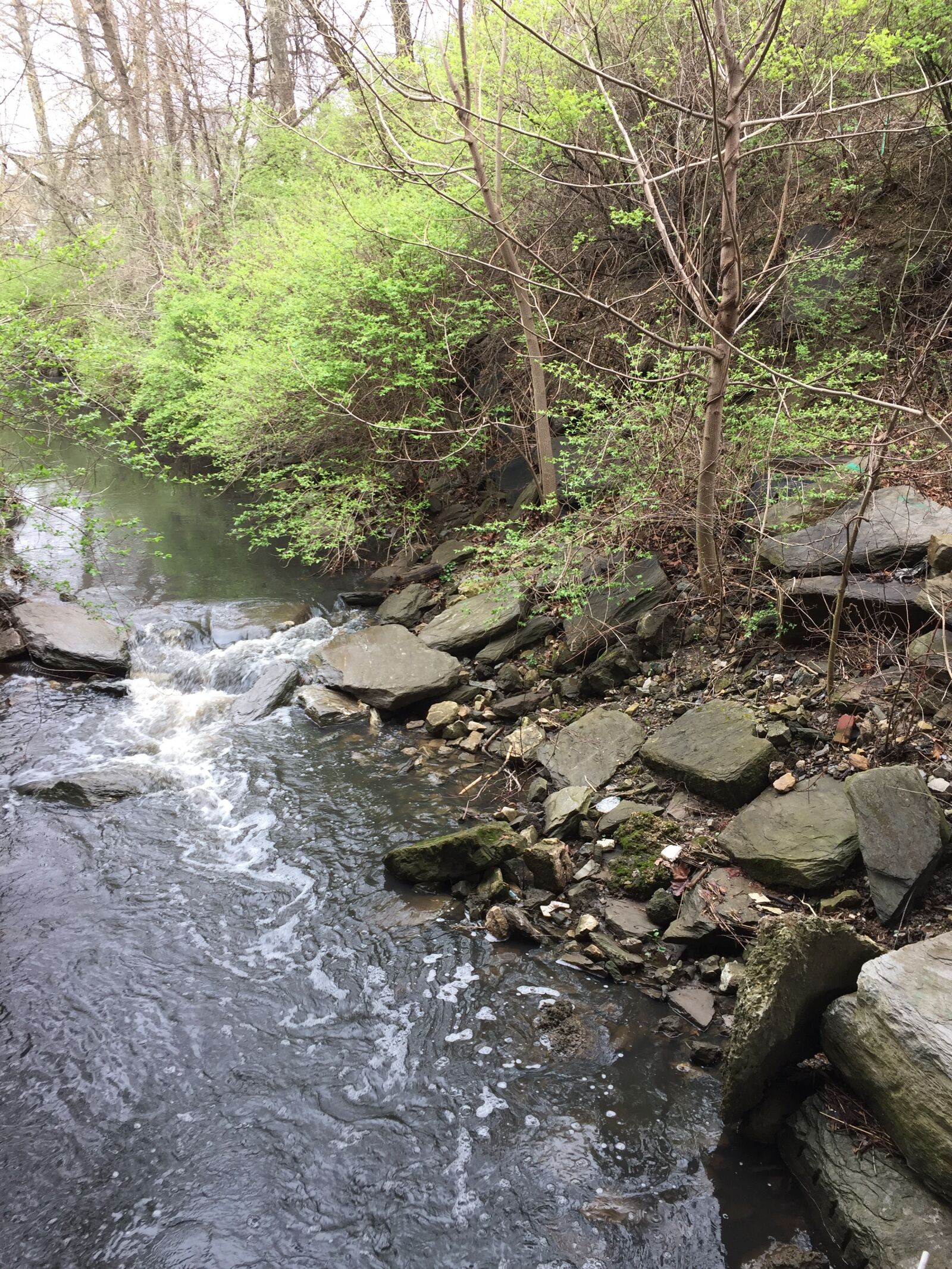 iPhone 6 back camera 4.15mm f/2.2 sample photo. Brook, water, stream photography