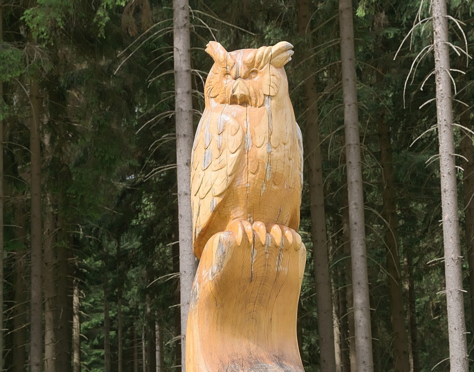 Nikon D3300 sample photo. Holzfigur, log, owl photography