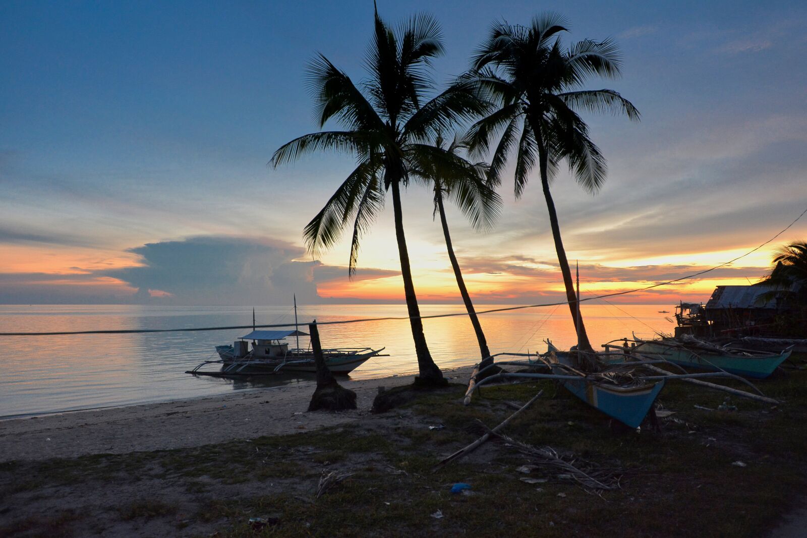 Nikon D7100 sample photo. Tree, beach, island photography