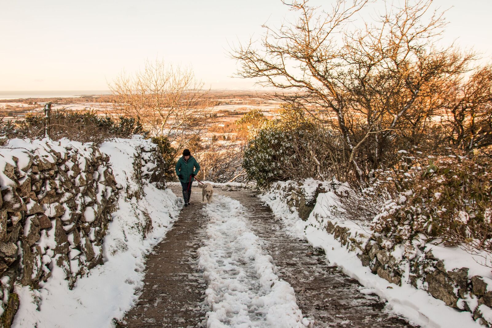 Canon EOS 70D sample photo. Winter, snow, nature photography