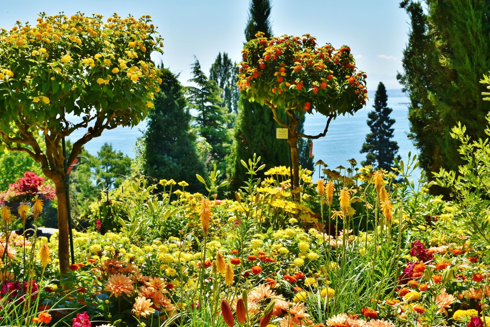 Nikon D7200 sample photo. Mainau, island, lake constance photography