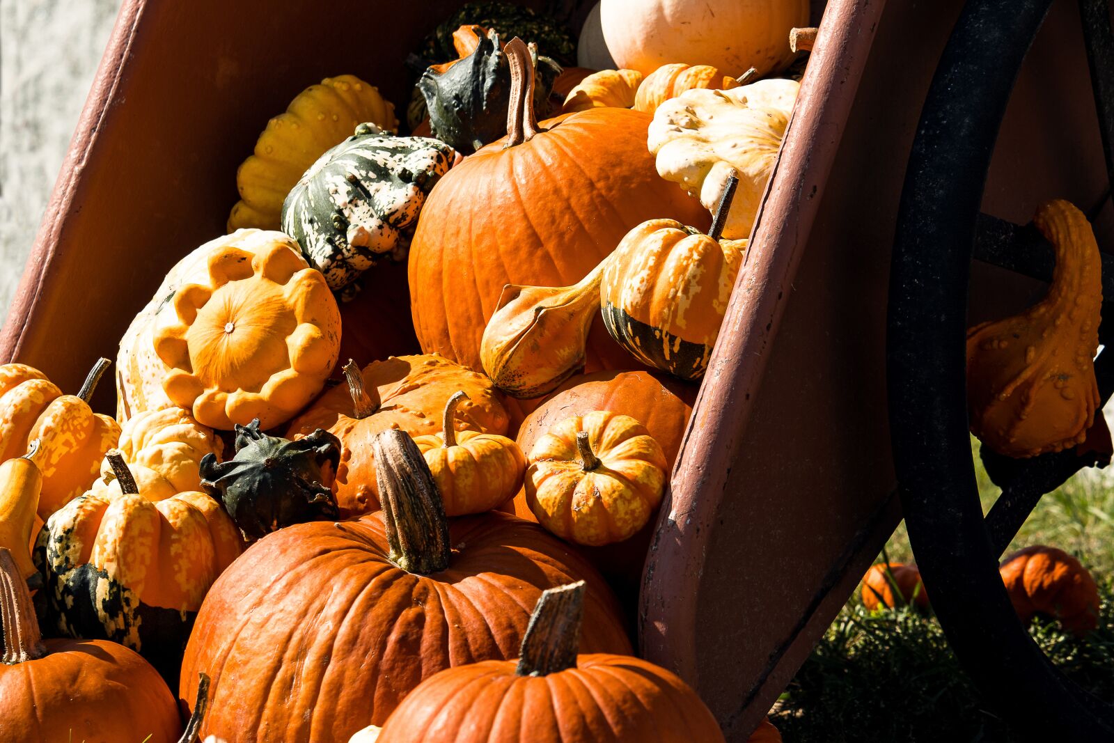 Canon EF-S 55-250mm F4-5.6 IS STM sample photo. Pumpkin, pumpkins, vegetables photography