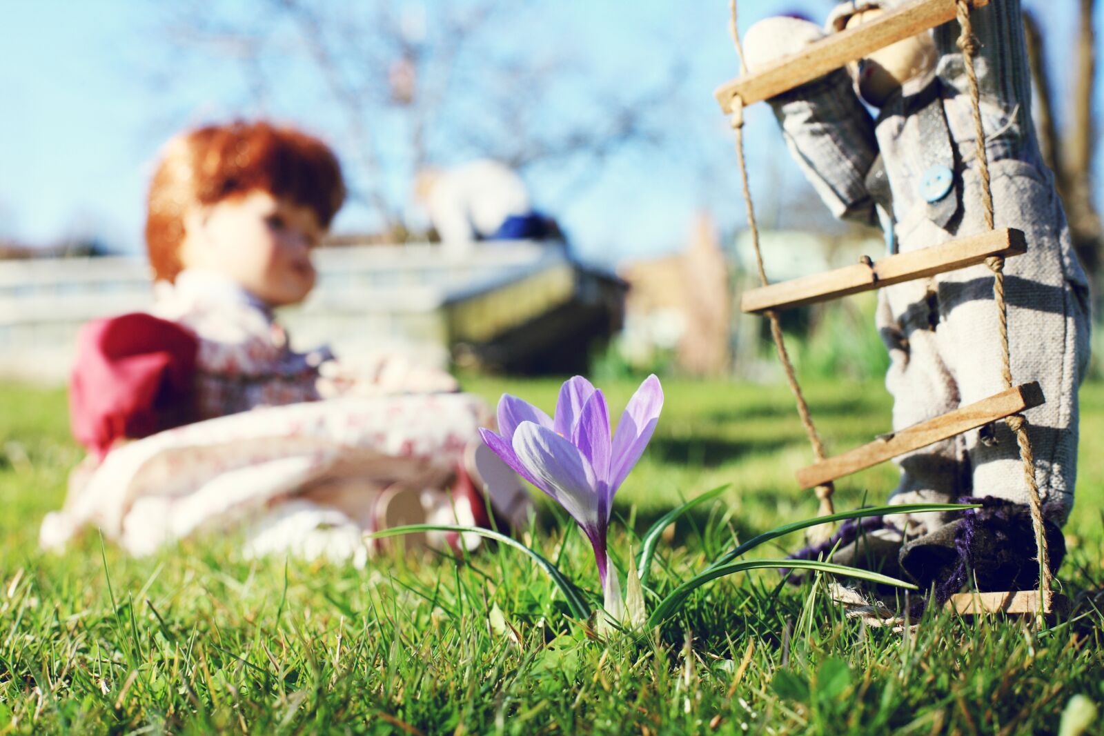 Canon EOS-1Ds Mark III sample photo. Garden, spring, crocus photography