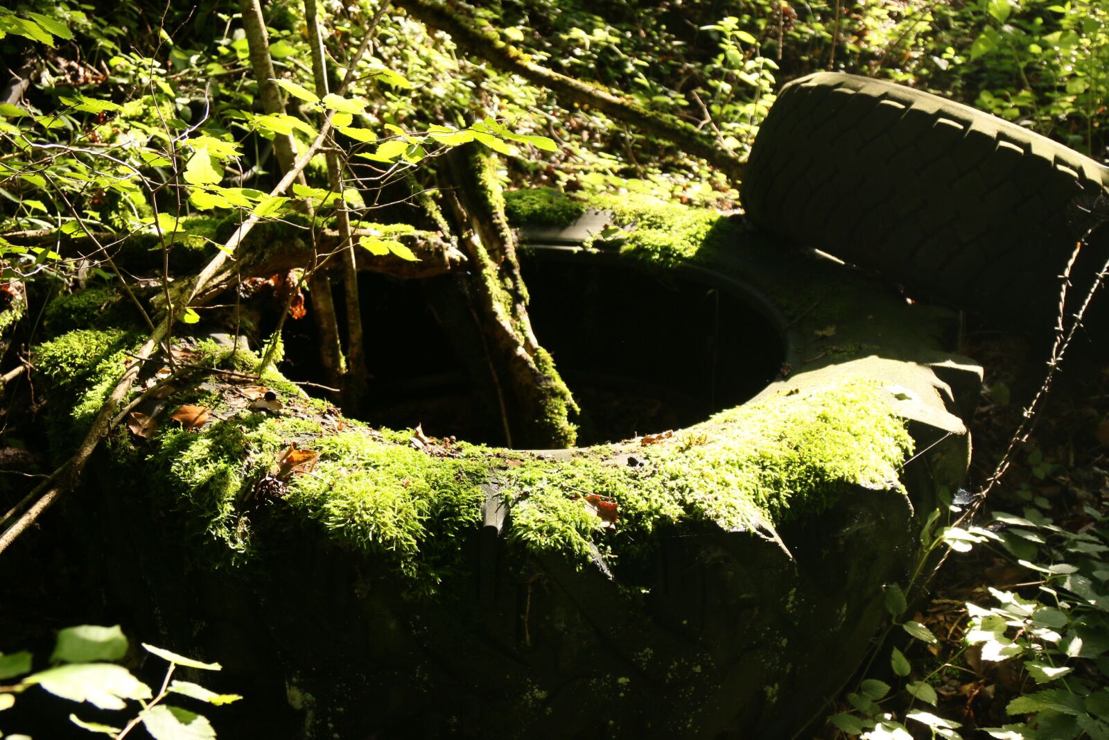 Canon EOS 70D + Canon EF 24-105mm F4L IS USM sample photo. Tire, foam, pollution photography