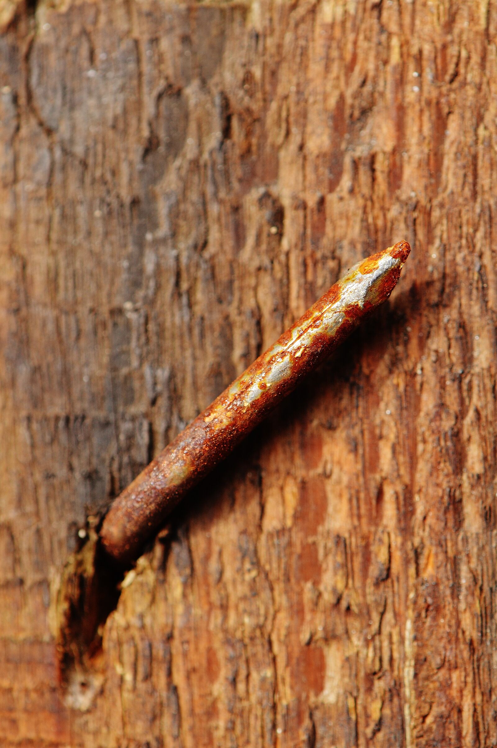 Nikon D3200 sample photo. Wood, rostiger nail, rust photography