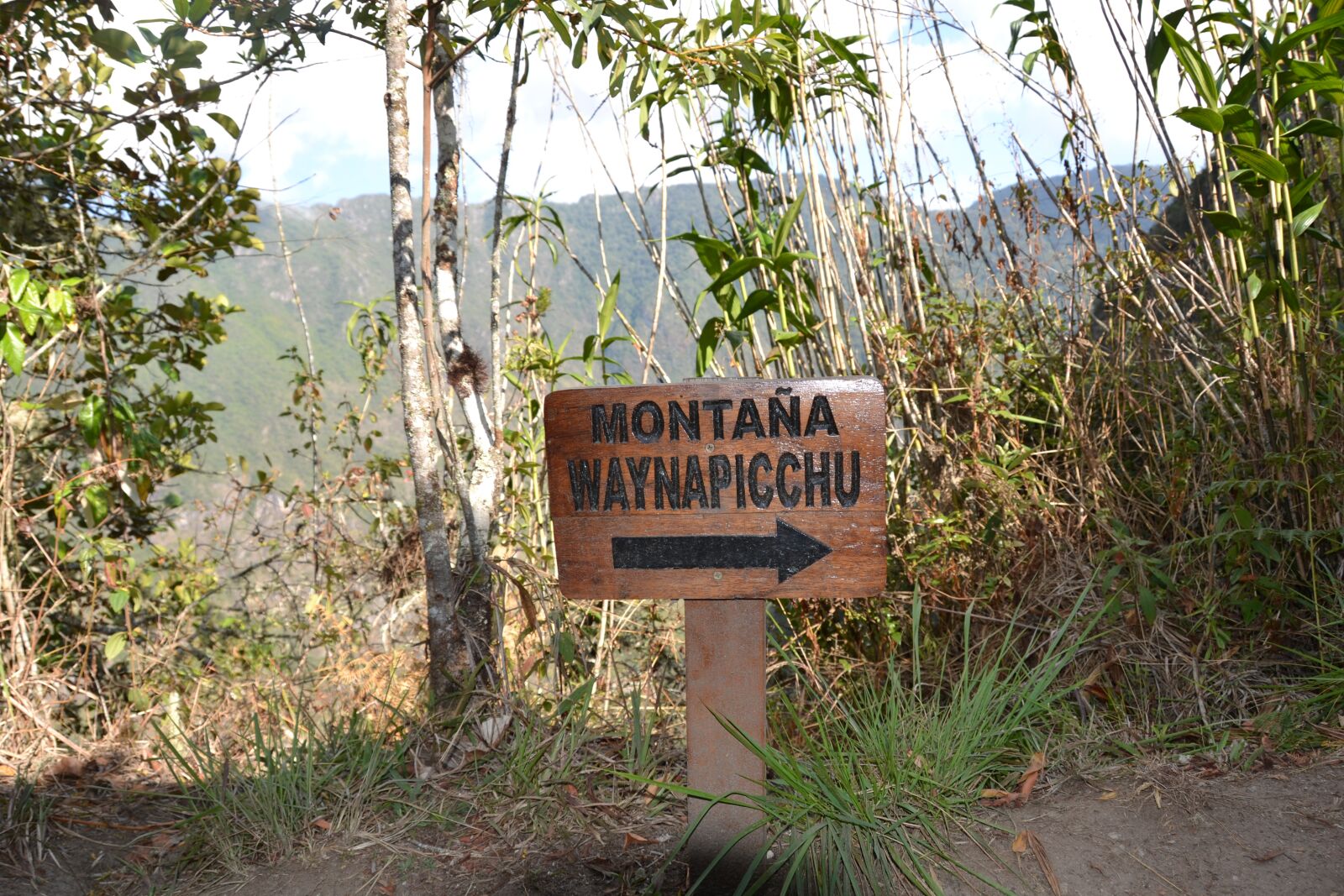 Nikon D3100 sample photo. Waynapicchu, trail sign, peru photography
