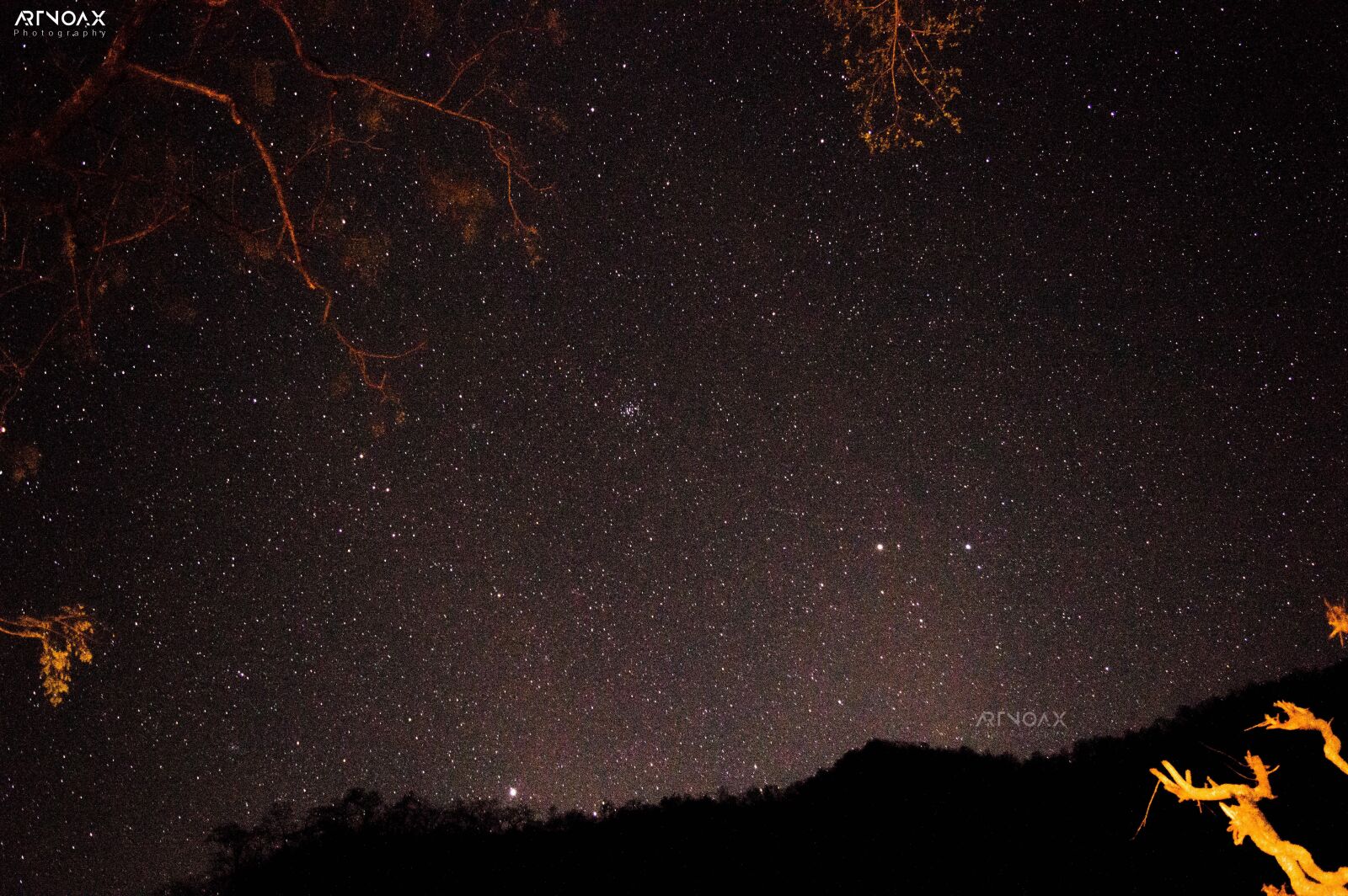 Nikon D3200 sample photo