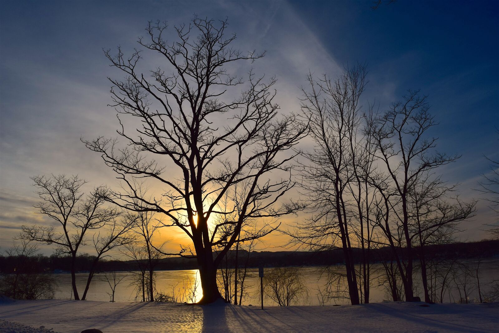 Nikon D3300 sample photo. Tree, silhouette, sunset photography