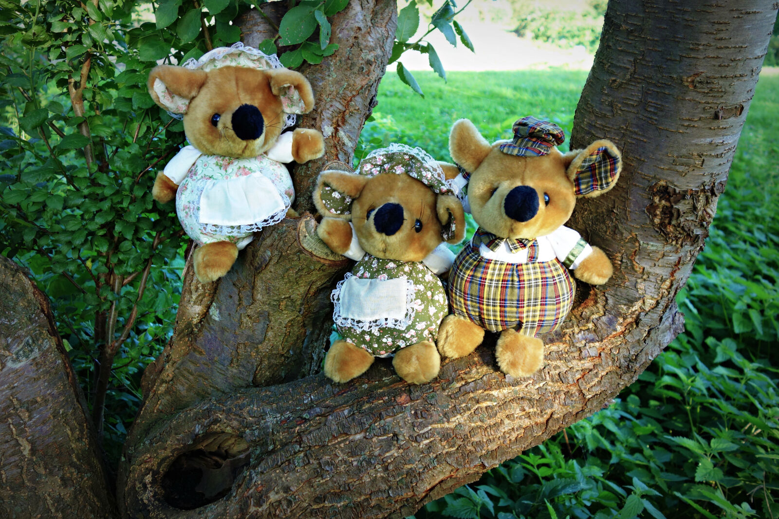 Sony Cyber-shot DSC-RX100 sample photo. Adorable, cuddly, toy, cute photography