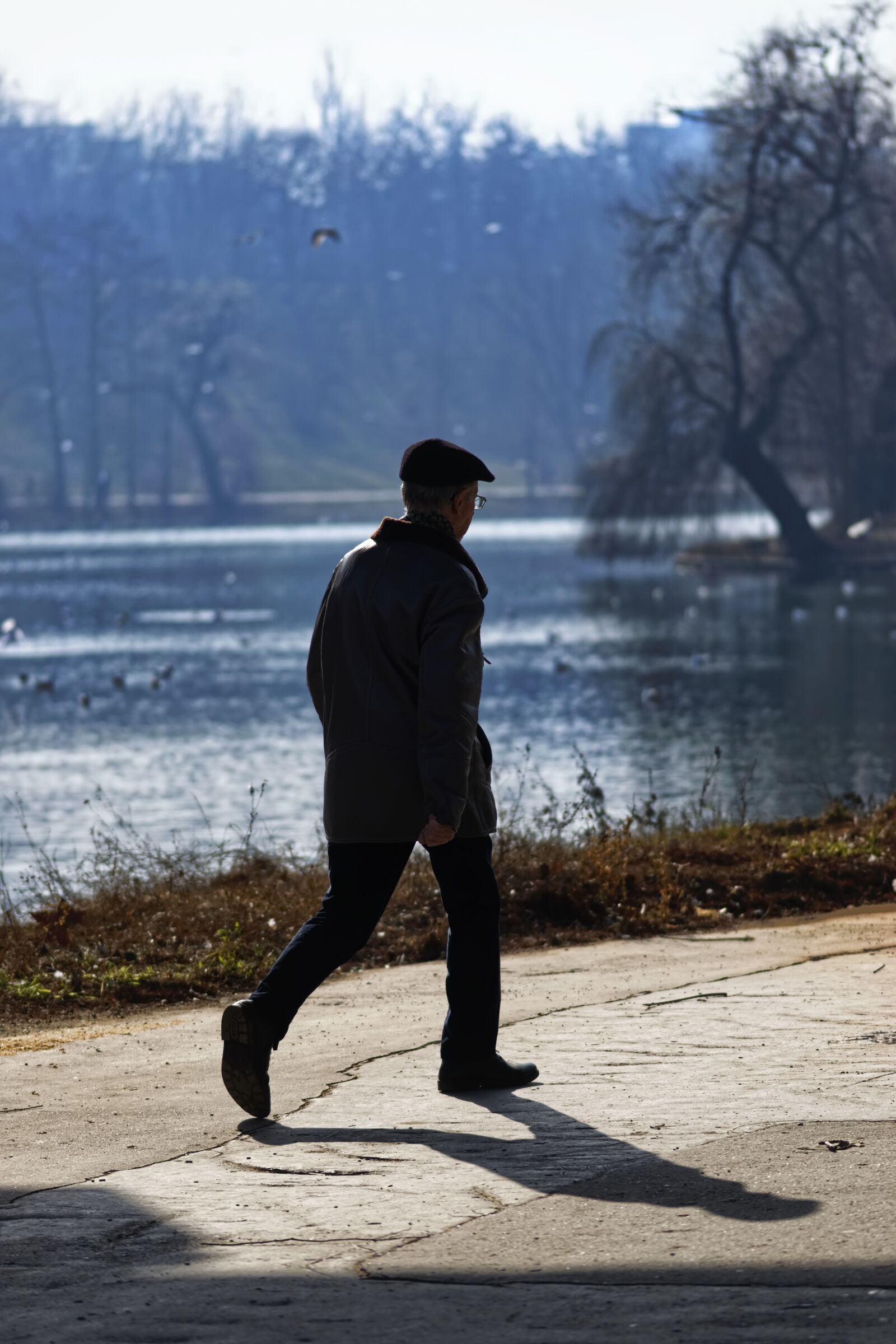 Nikon D5300 sample photo. Man, person, age photography
