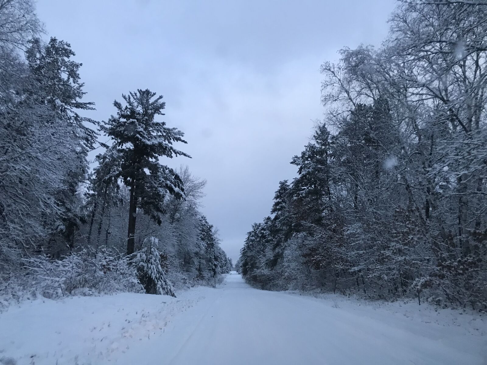 iPhone 7 Plus back dual camera 3.99mm f/1.8 sample photo. Snow, landscape, trees photography