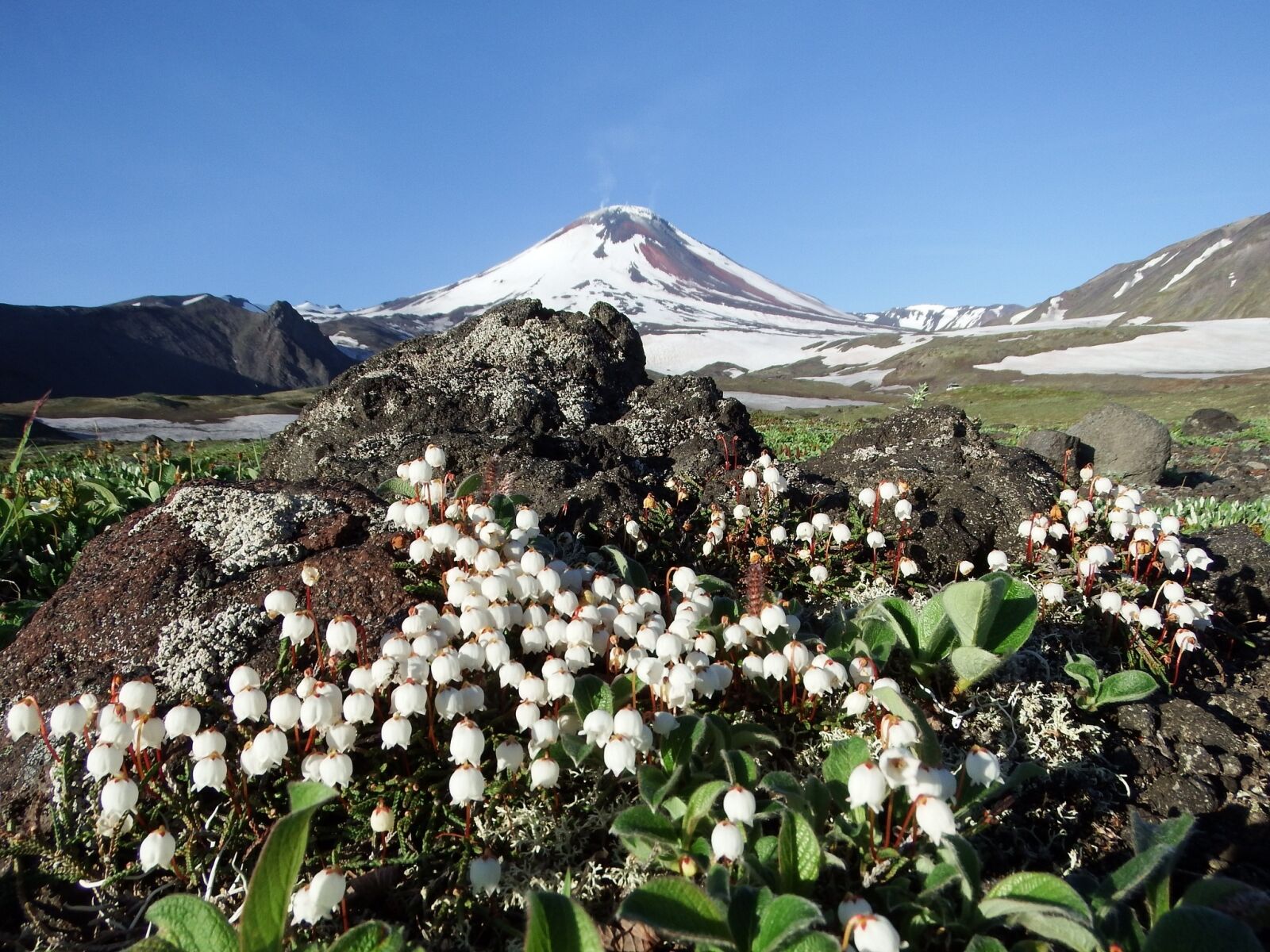 Fujifilm FinePix S1 sample photo. The volcano avachinsky, summer photography