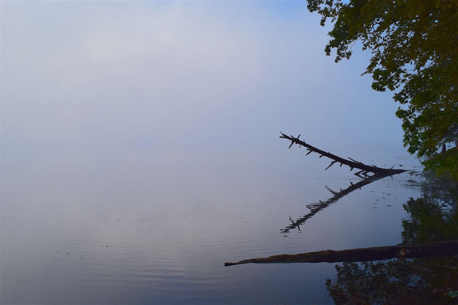 Nikon D3300 sample photo. Lake, fog, tree photography