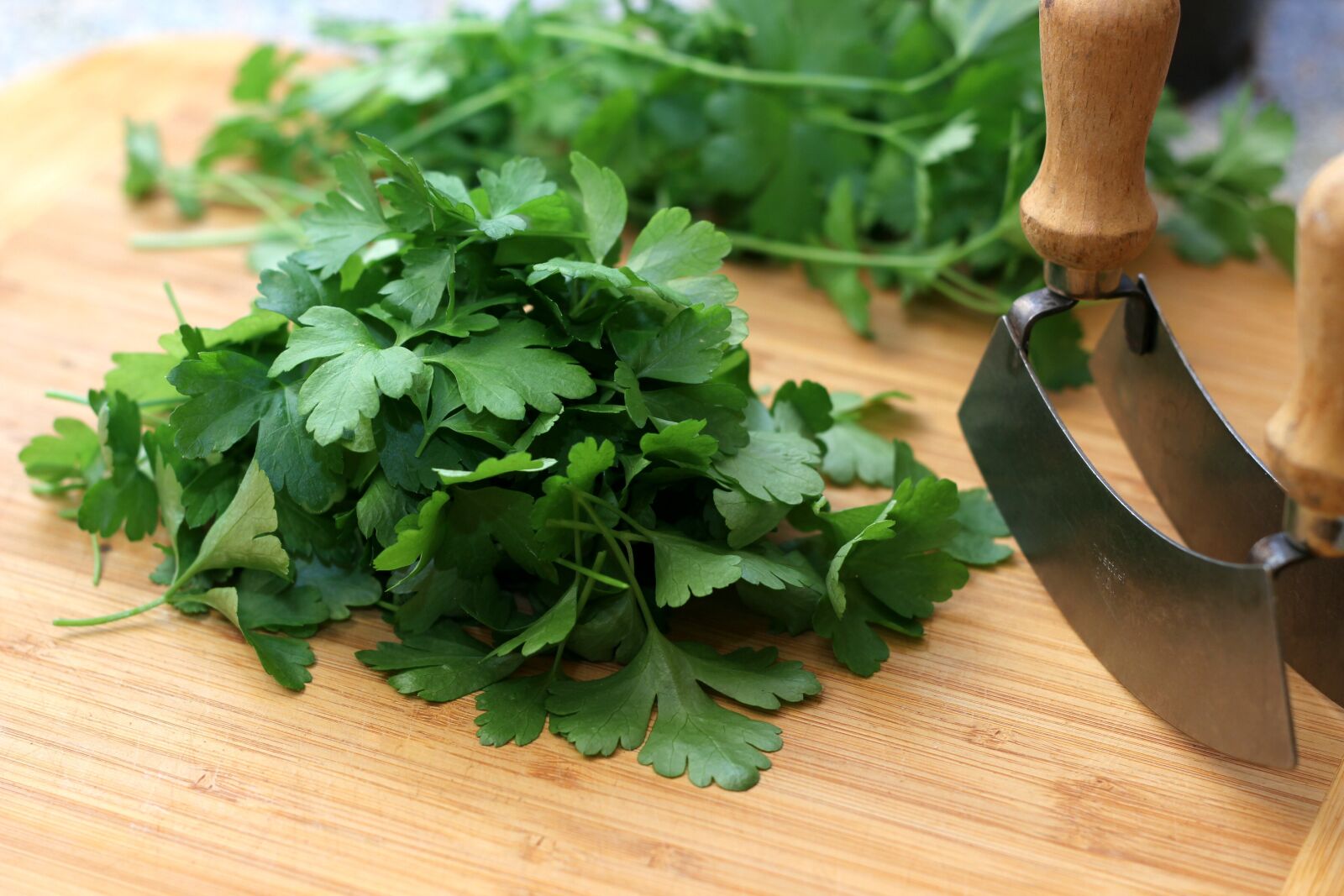 Canon EOS 600D (Rebel EOS T3i / EOS Kiss X5) + Canon EF 50mm F1.8 II sample photo. Parsley, herbs, hack photography