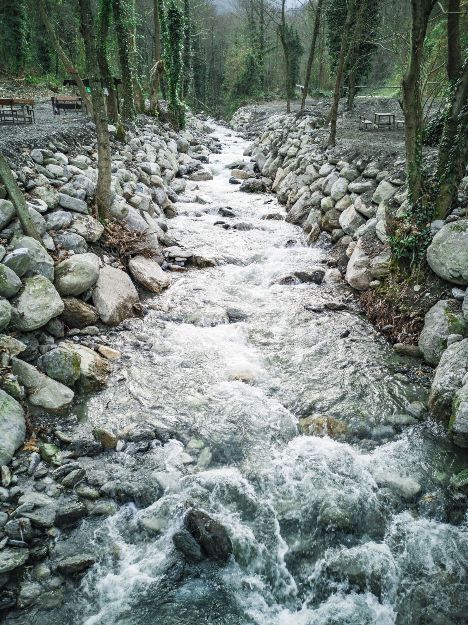 HUAWEI CLT-L09 sample photo. Streaming, stream, nature photography
