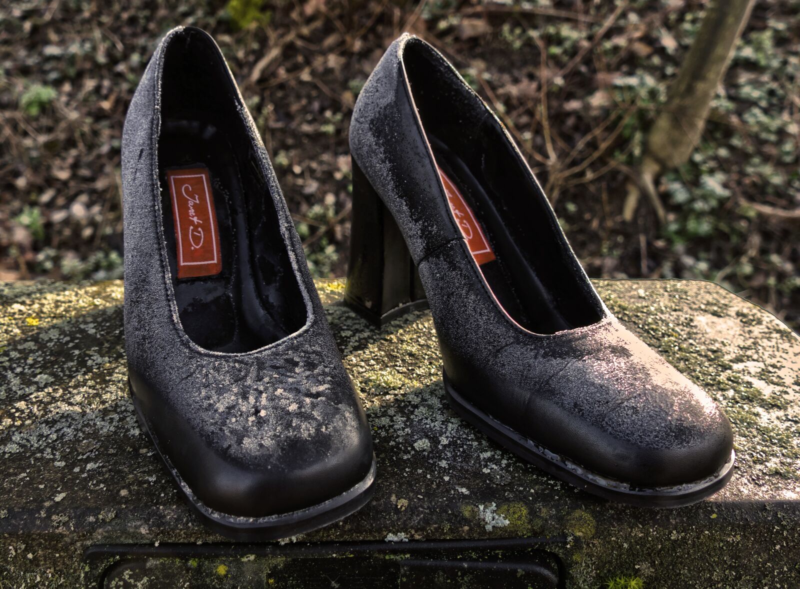Panasonic Lumix DMC-FZ1000 sample photo. Shoes, footwear, women's shoes photography