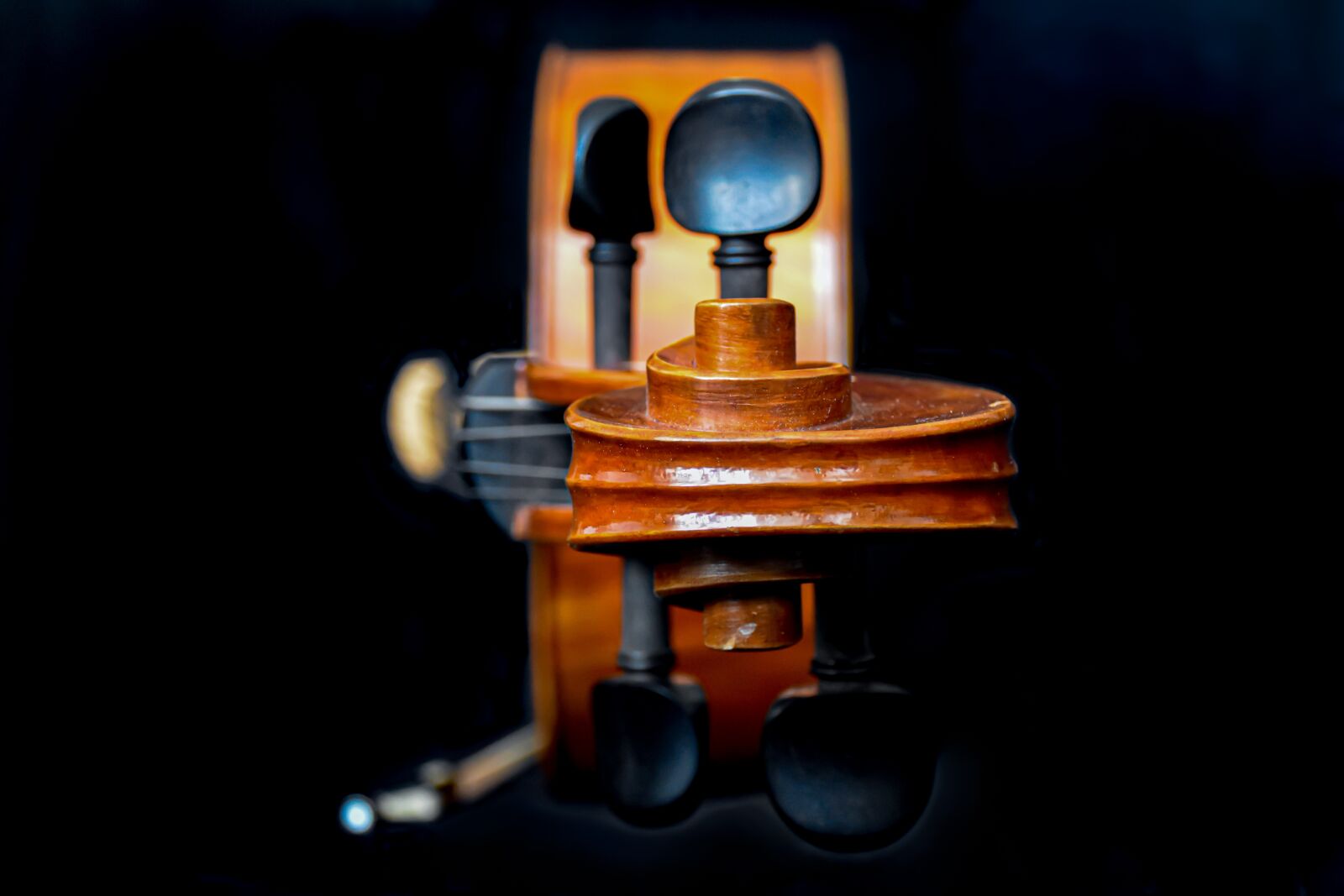 Nikon D5600 sample photo. Cello, tuning keys, antique photography
