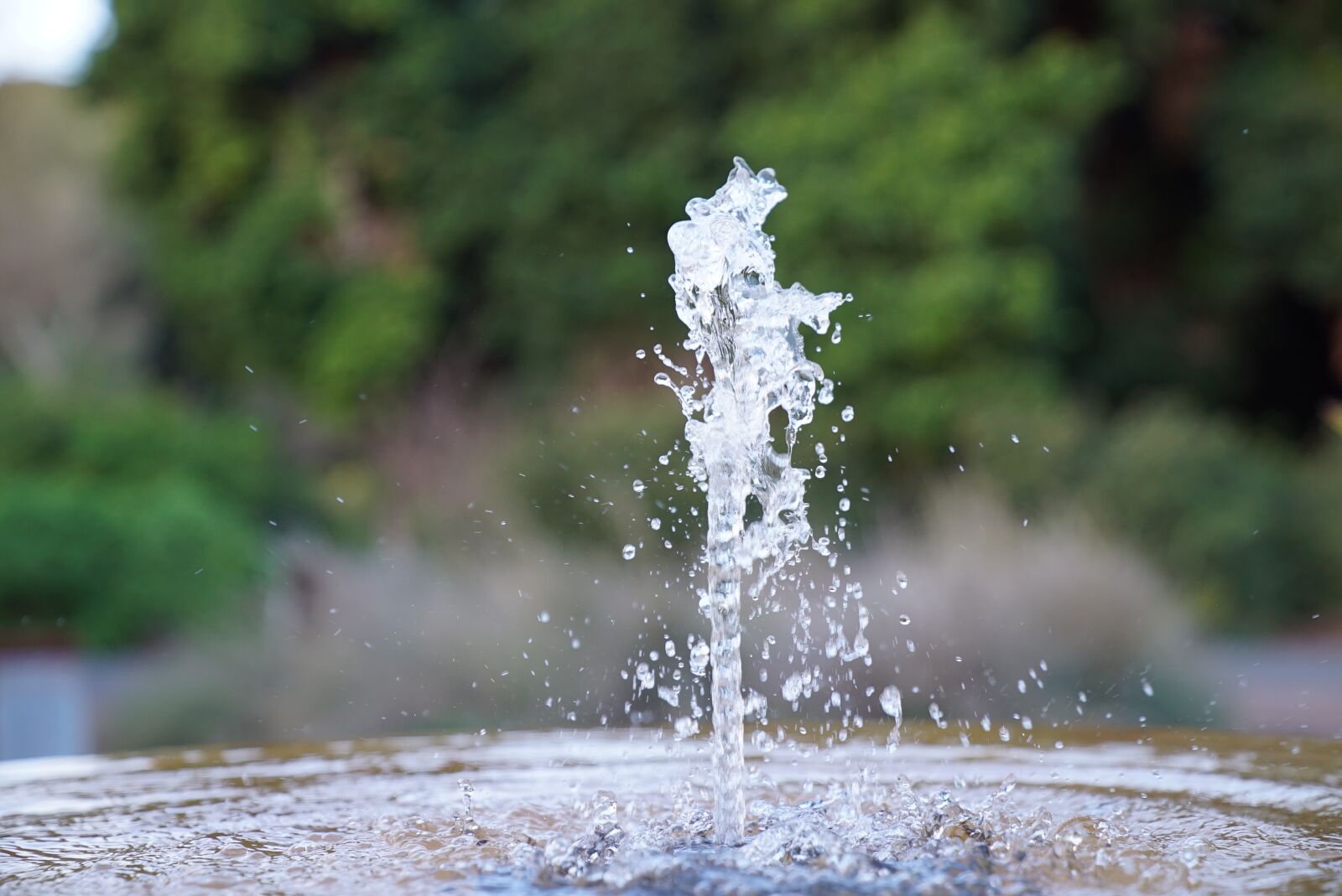 Sony a7S sample photo. Water fountain, water spurt photography