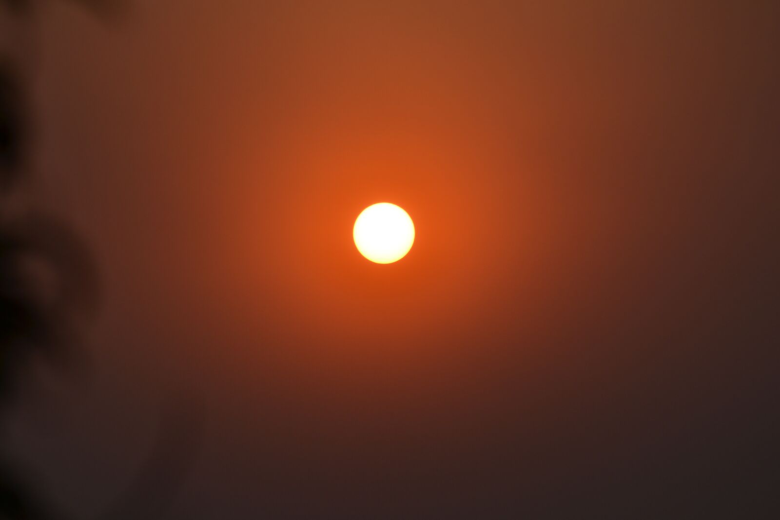 Nikon D3100 sample photo. Sun, sunset, red photography