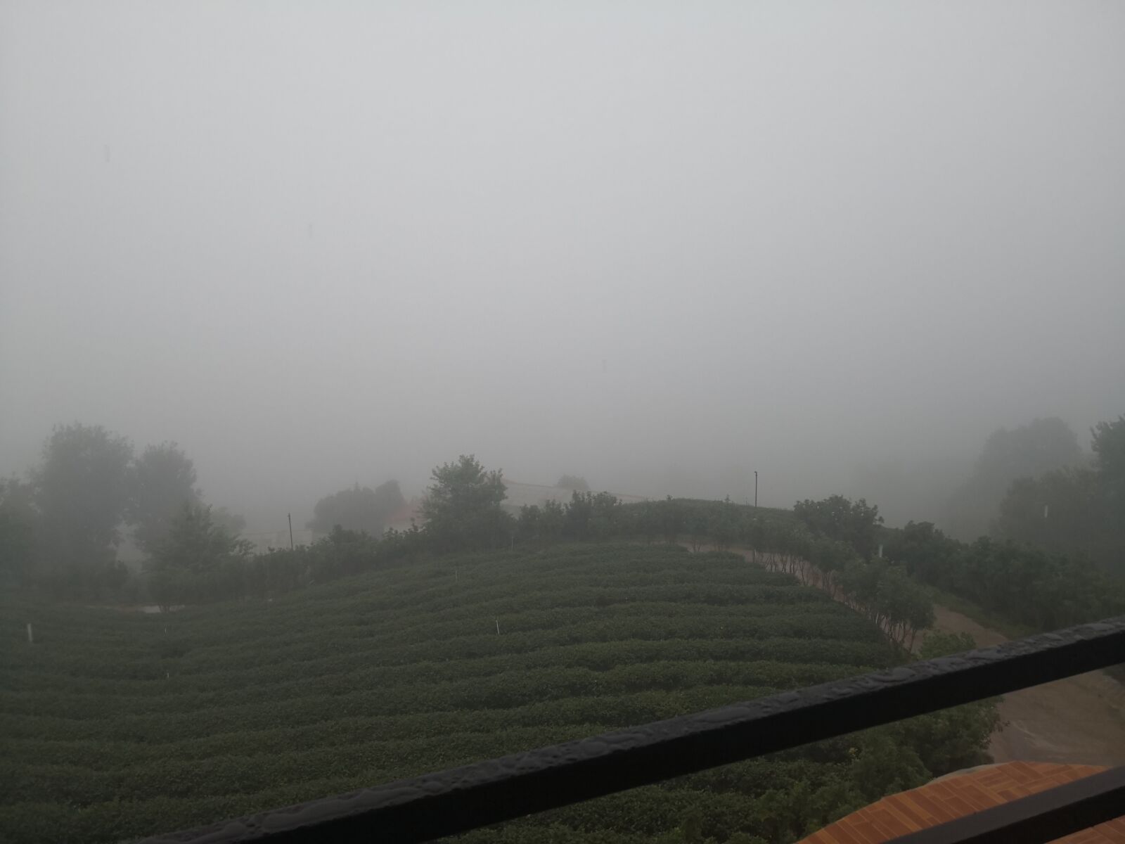 HUAWEI Mate 10 Pro sample photo. View, mountain, foggy photography