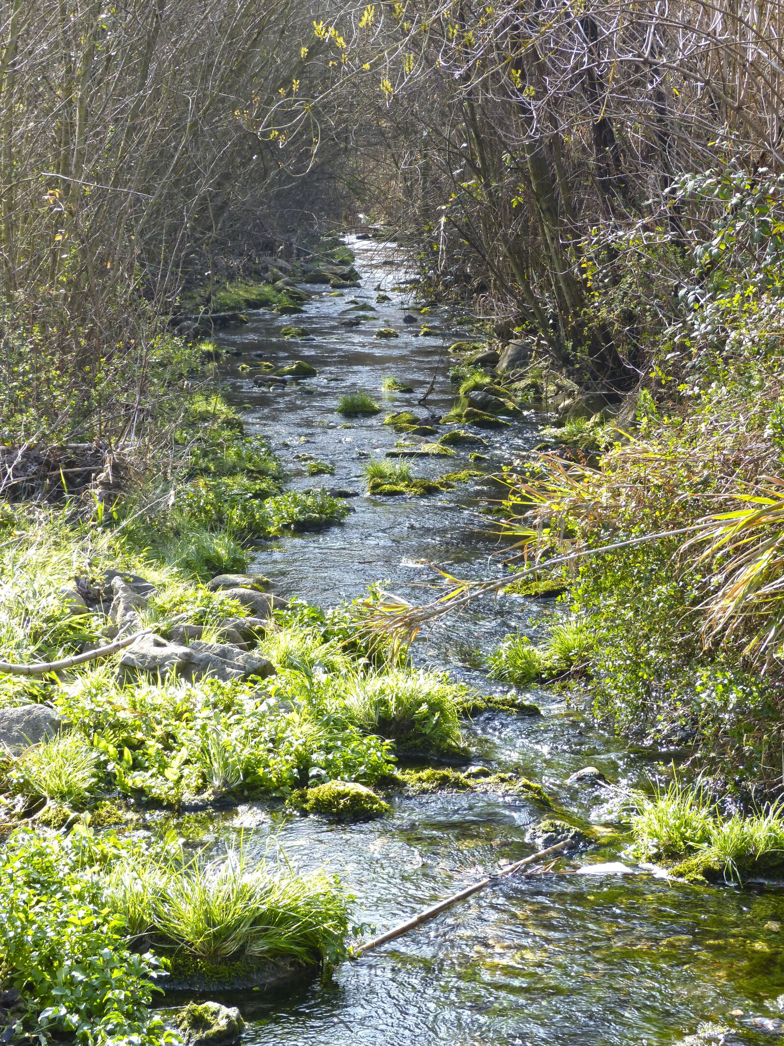 Panasonic DMC-FZ62 sample photo. River, brook, siurana photography