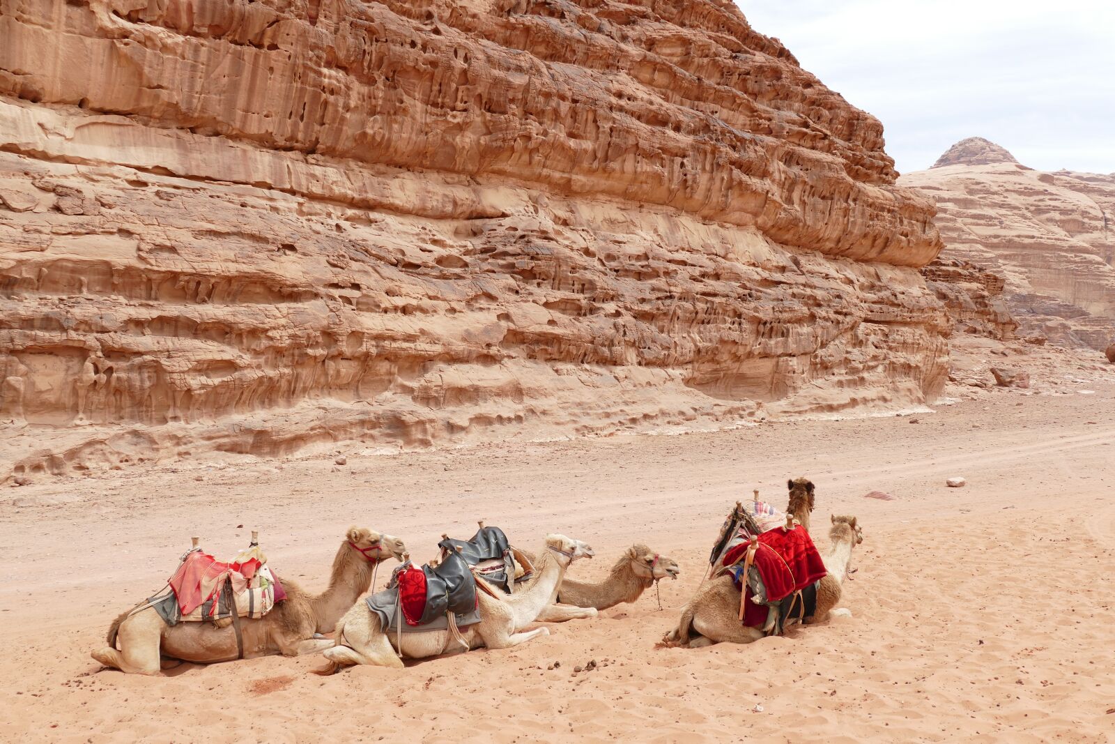 Panasonic Lumix DMC-FZ1000 sample photo. Jordan, desert, sand stone photography