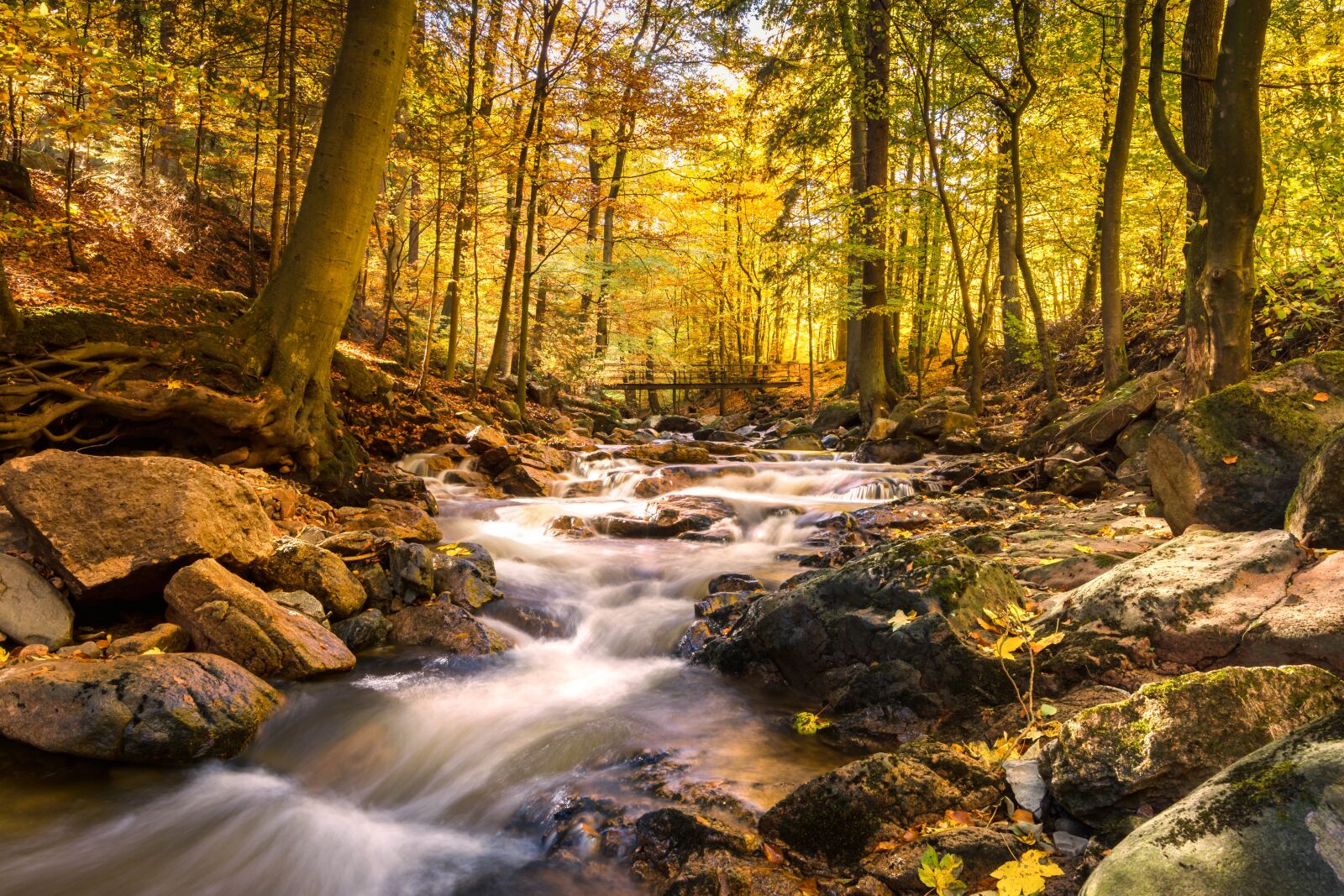 Tokina AT-X 16-28mm F2.8 Pro FX sample photo. Fall foliage, ilse, long photography