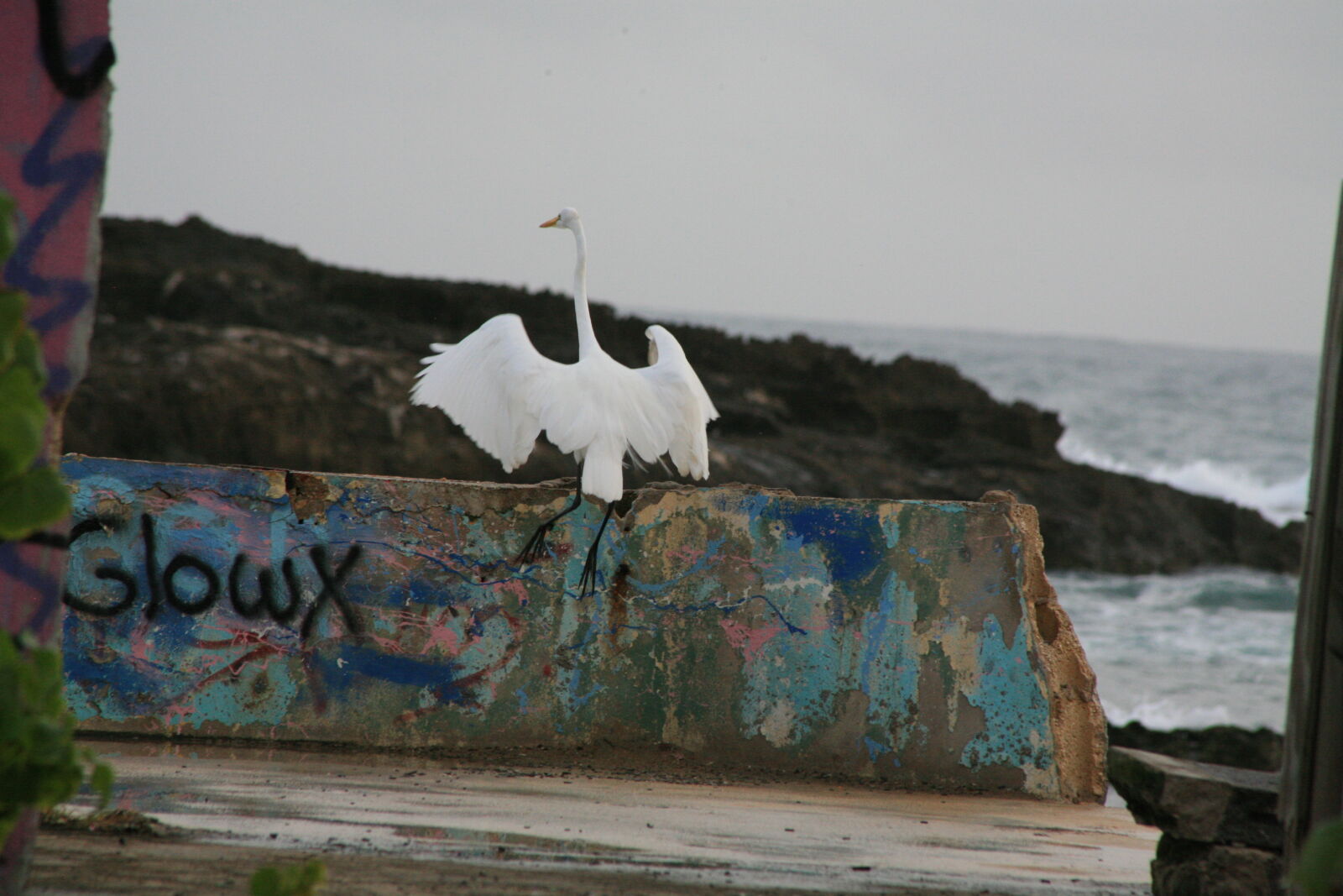 Canon EOS 5D sample photo