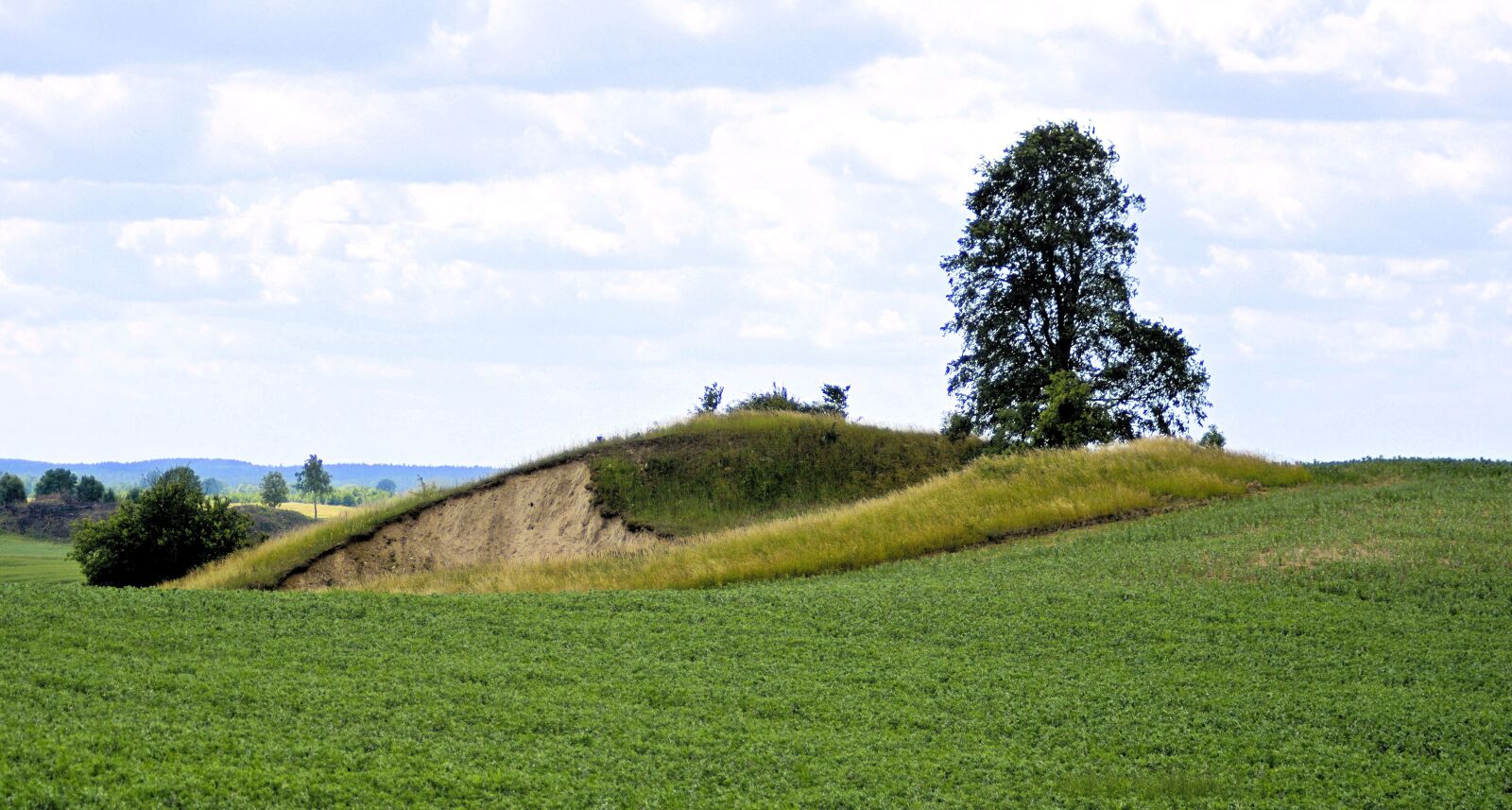 Nikon D7100 sample photo. Landscape, poland, view photography