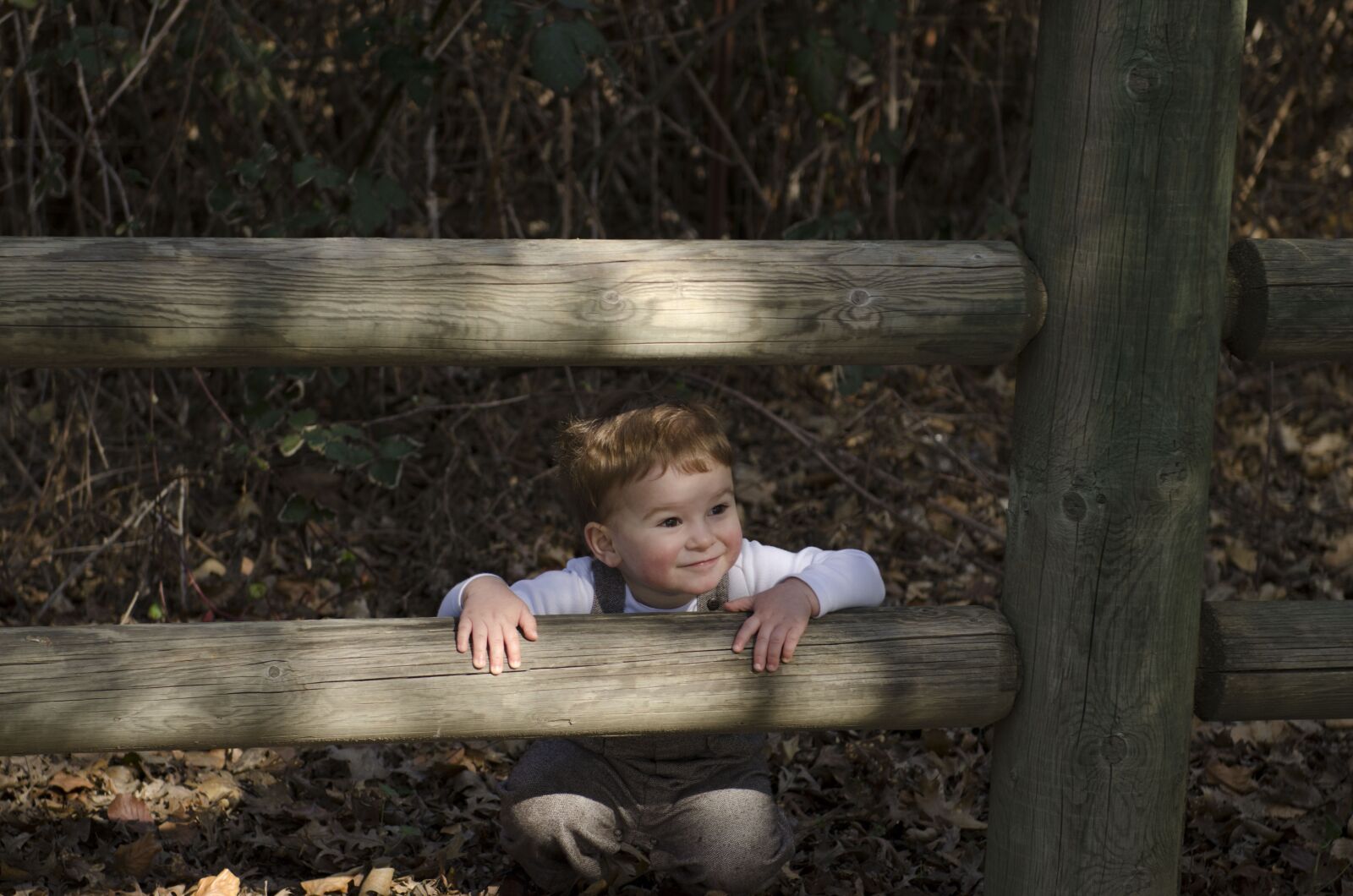 Nikon D7000 sample photo. Boy, cute, child photography
